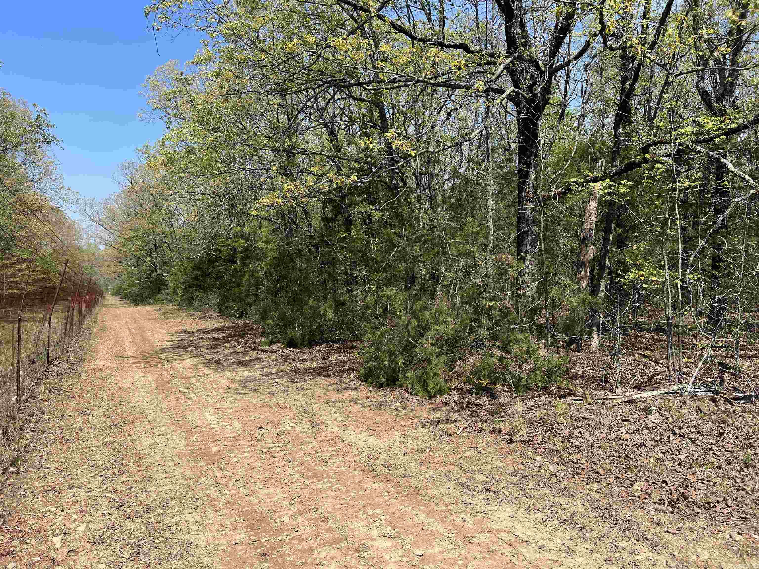 Tract 1 Fox Pen Rd. Property Photo 22