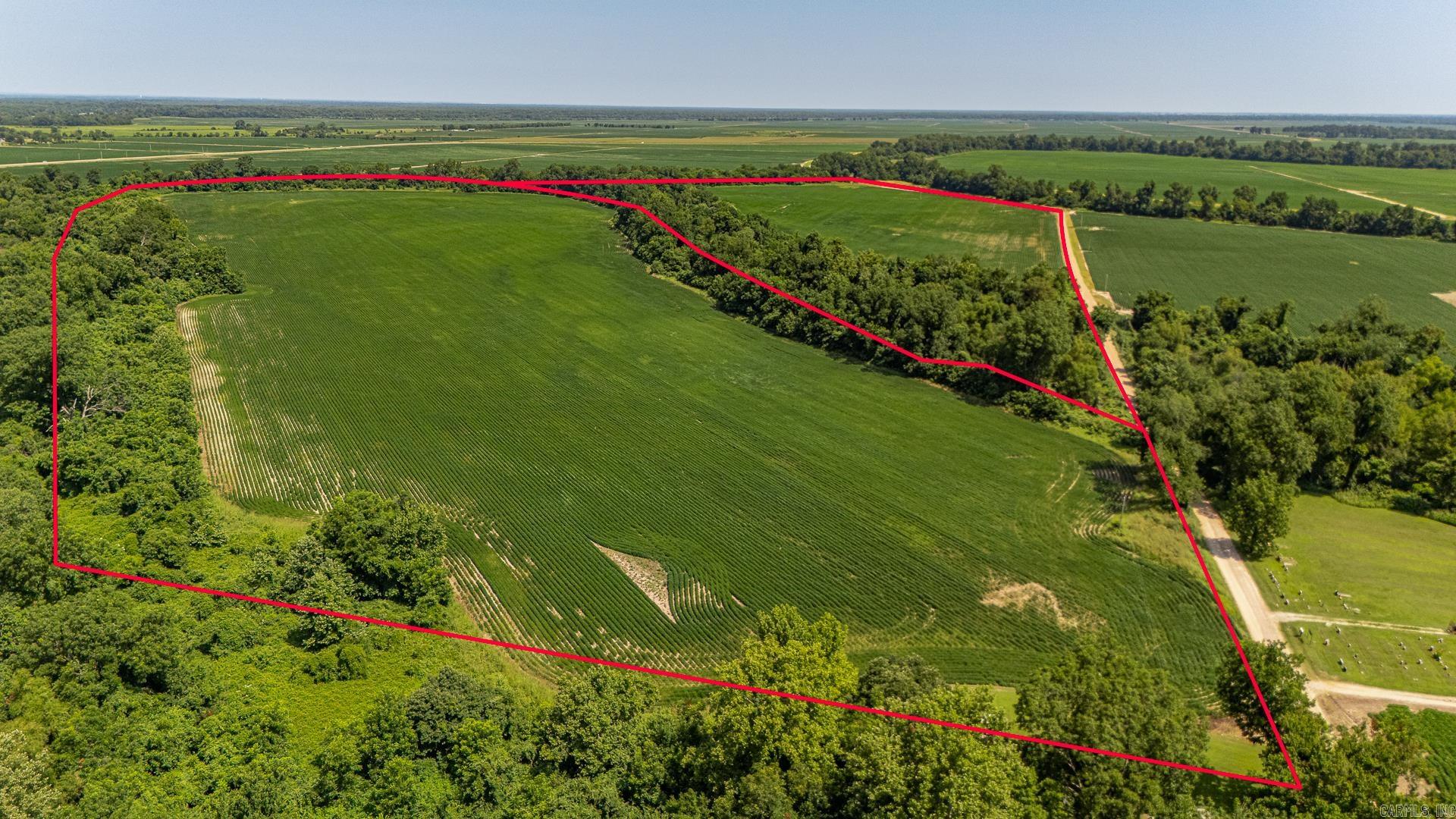 166.41 Acres Property Photo 3