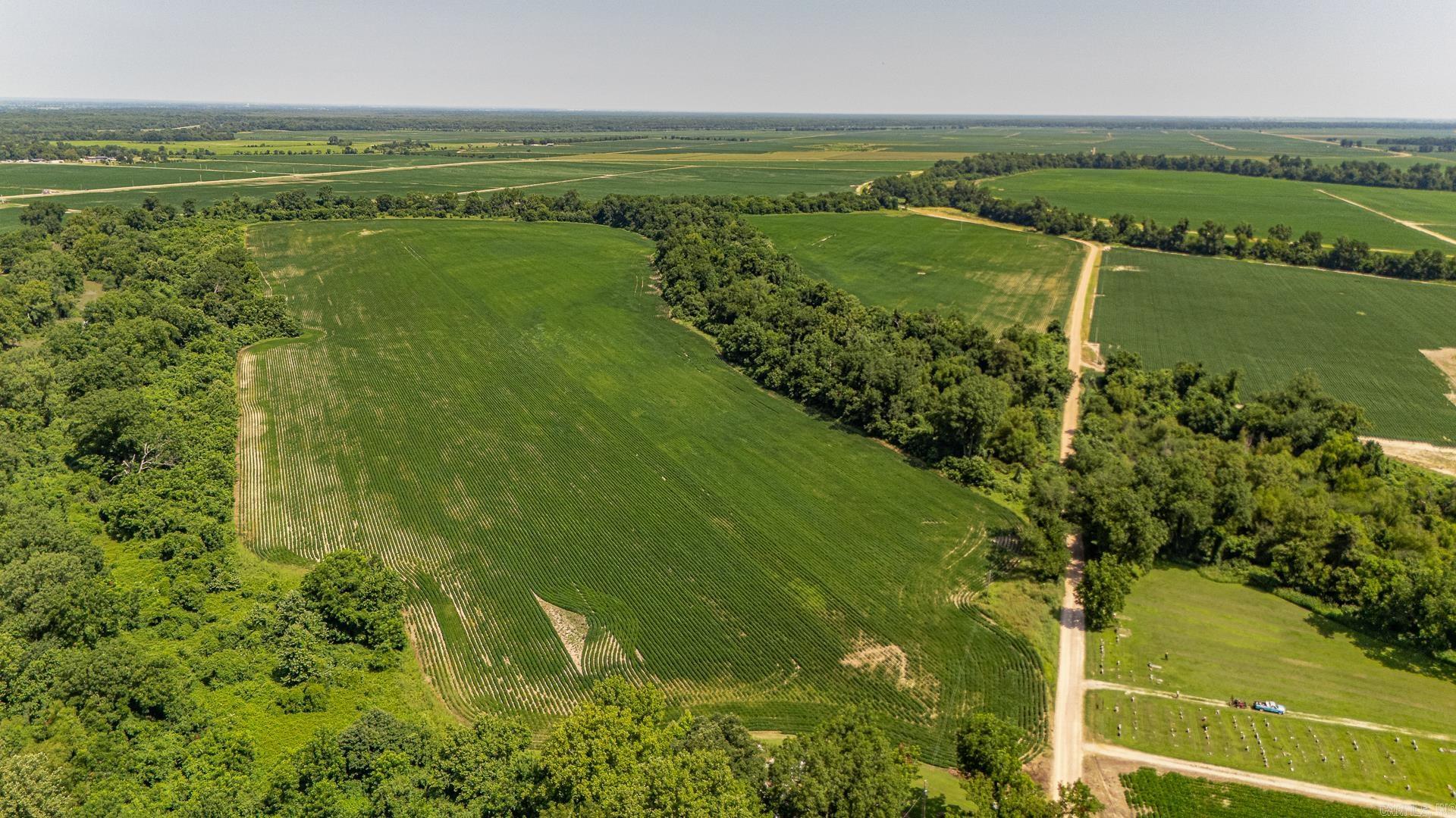 166.41 Acres Property Photo 12