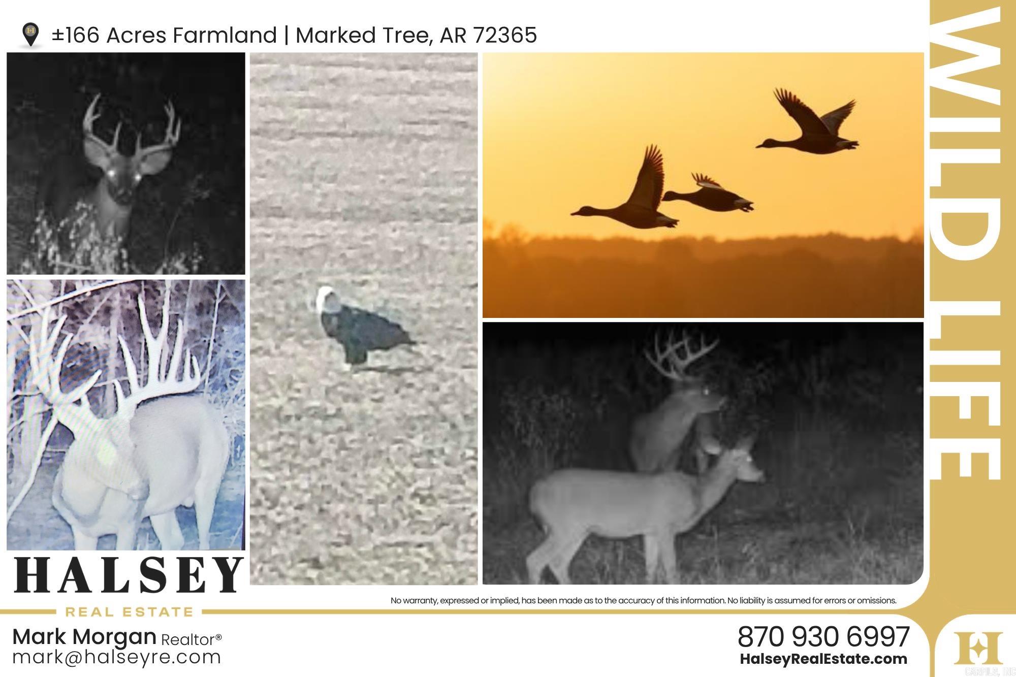 166.41 Acres Property Photo 18