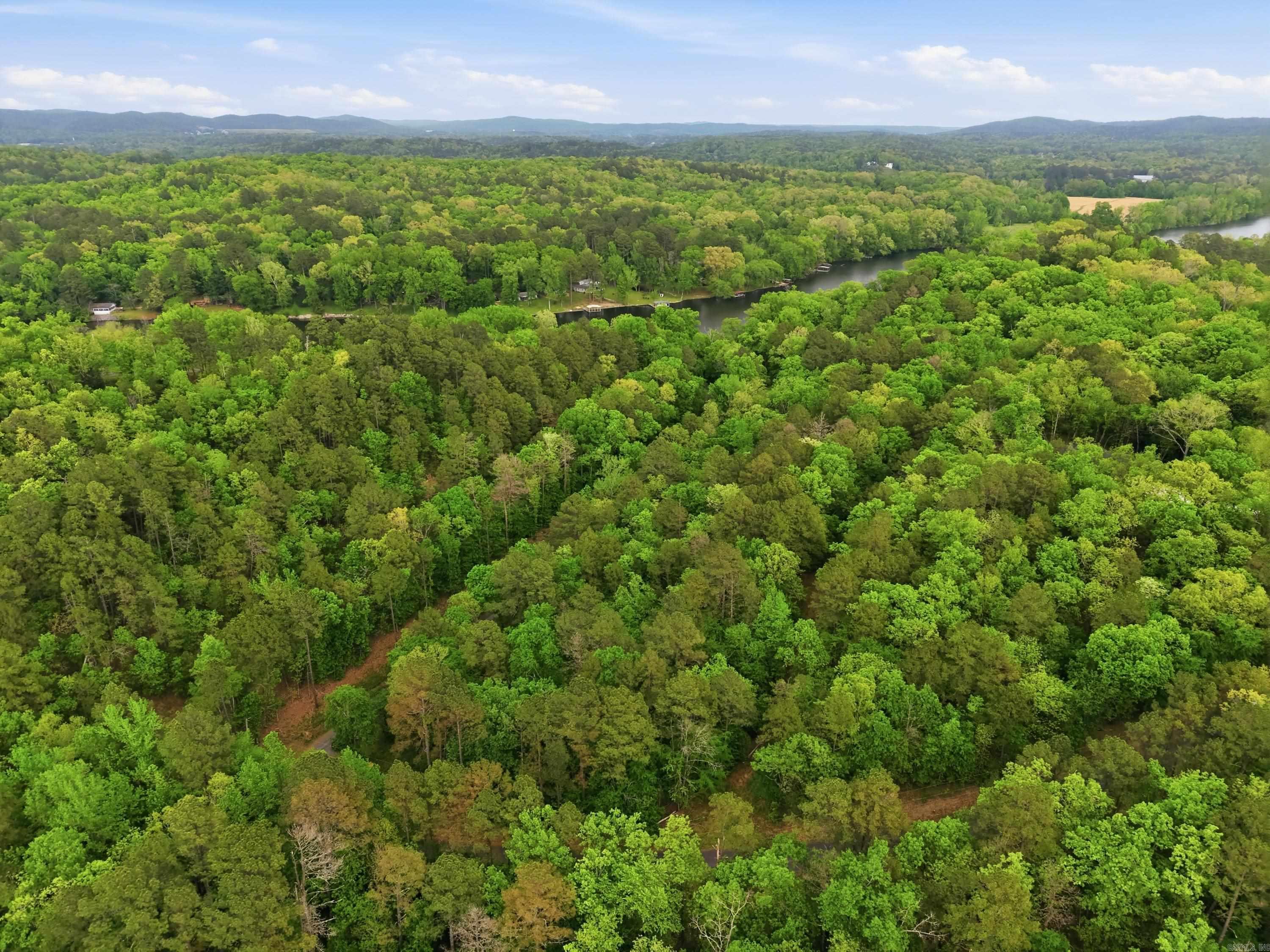 Lot 16 Tall Hickory Road Property Photo 7