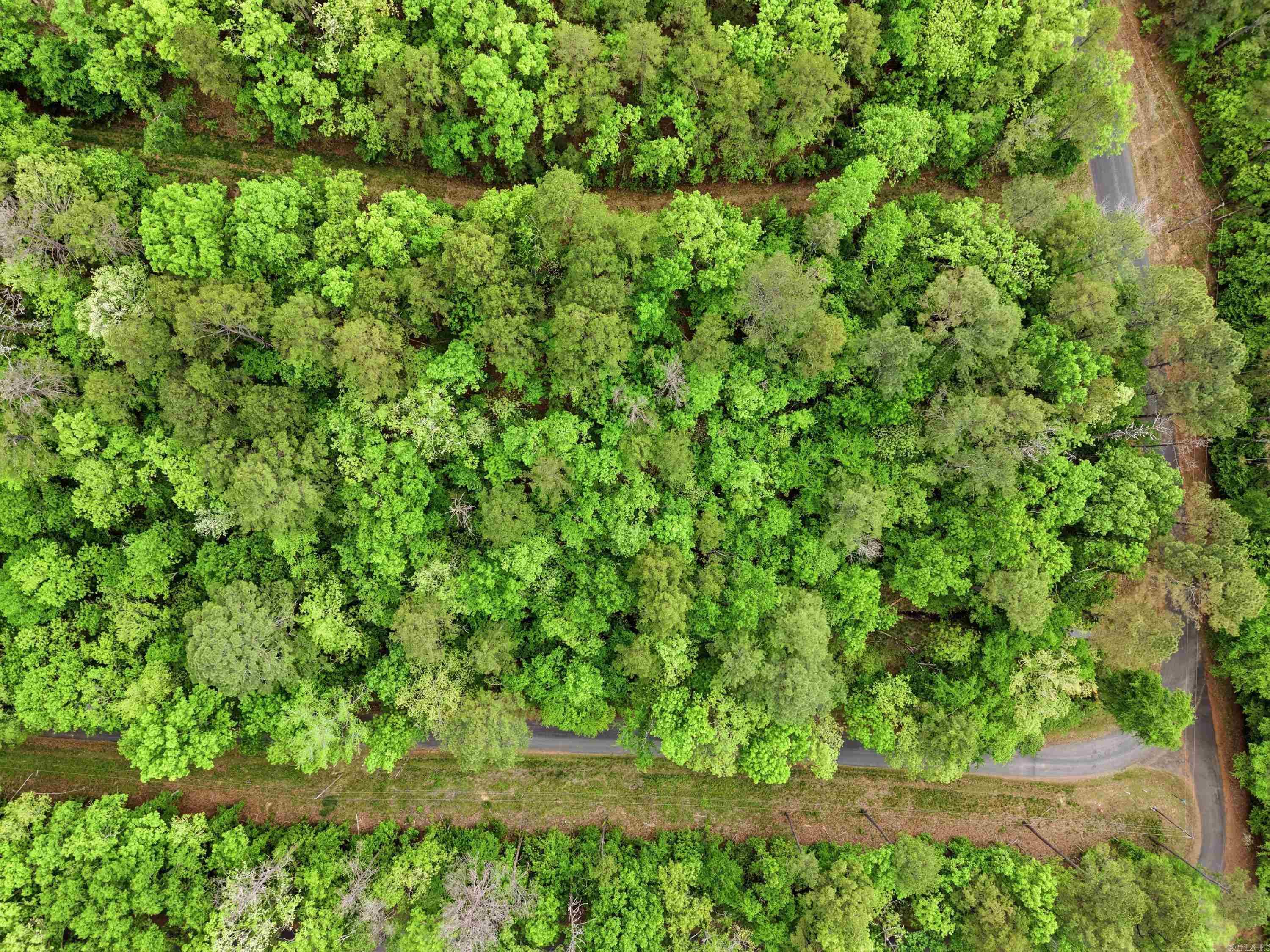 Lot 16 Tall Hickory Road Property Photo 12