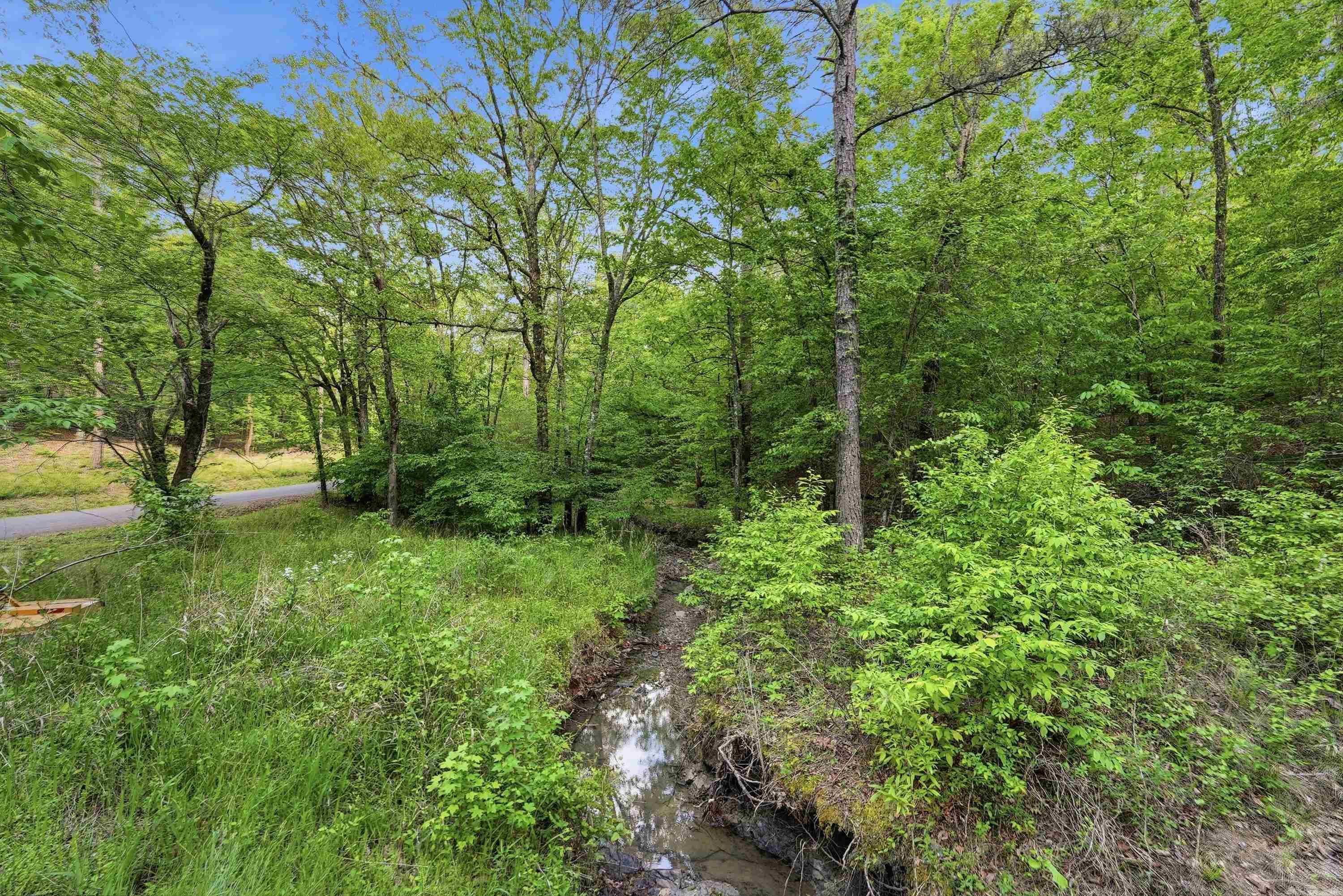 Lot 16 Tall Hickory Road Property Photo 13