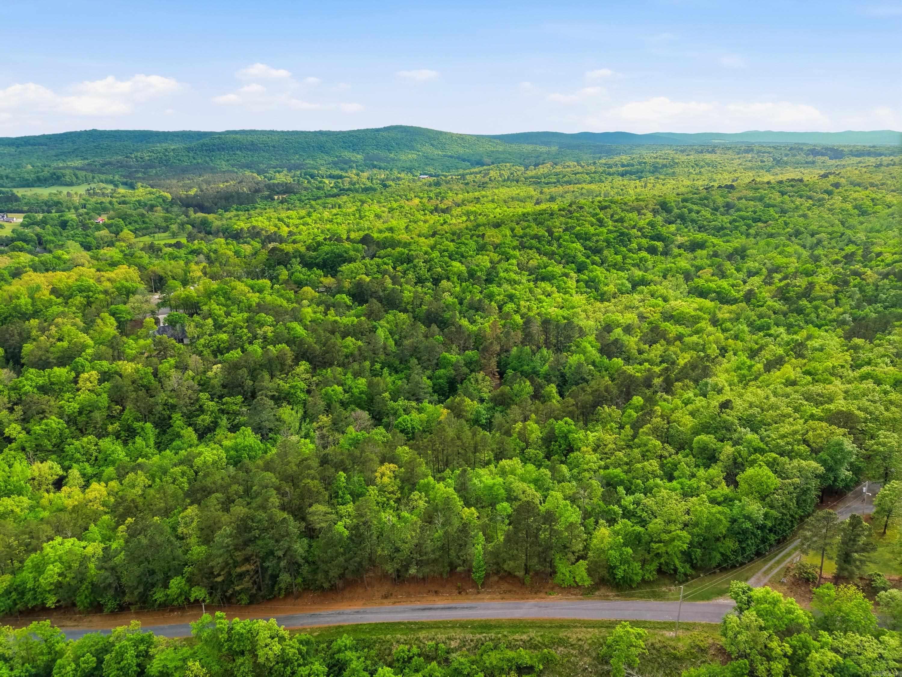 Lot 16 Tall Hickory Road Property Photo 18