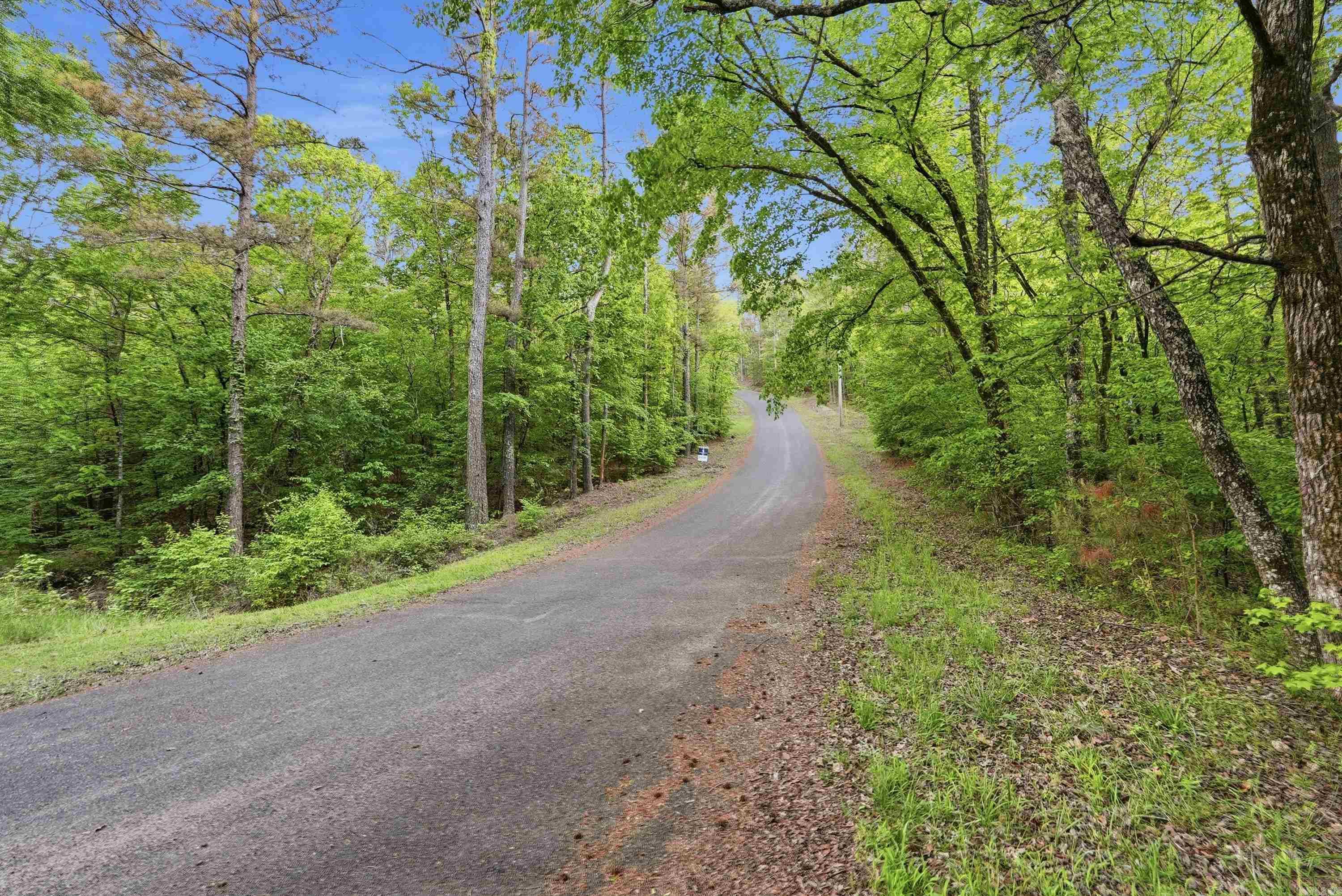 Lot 16 Tall Hickory Road Property Photo 21