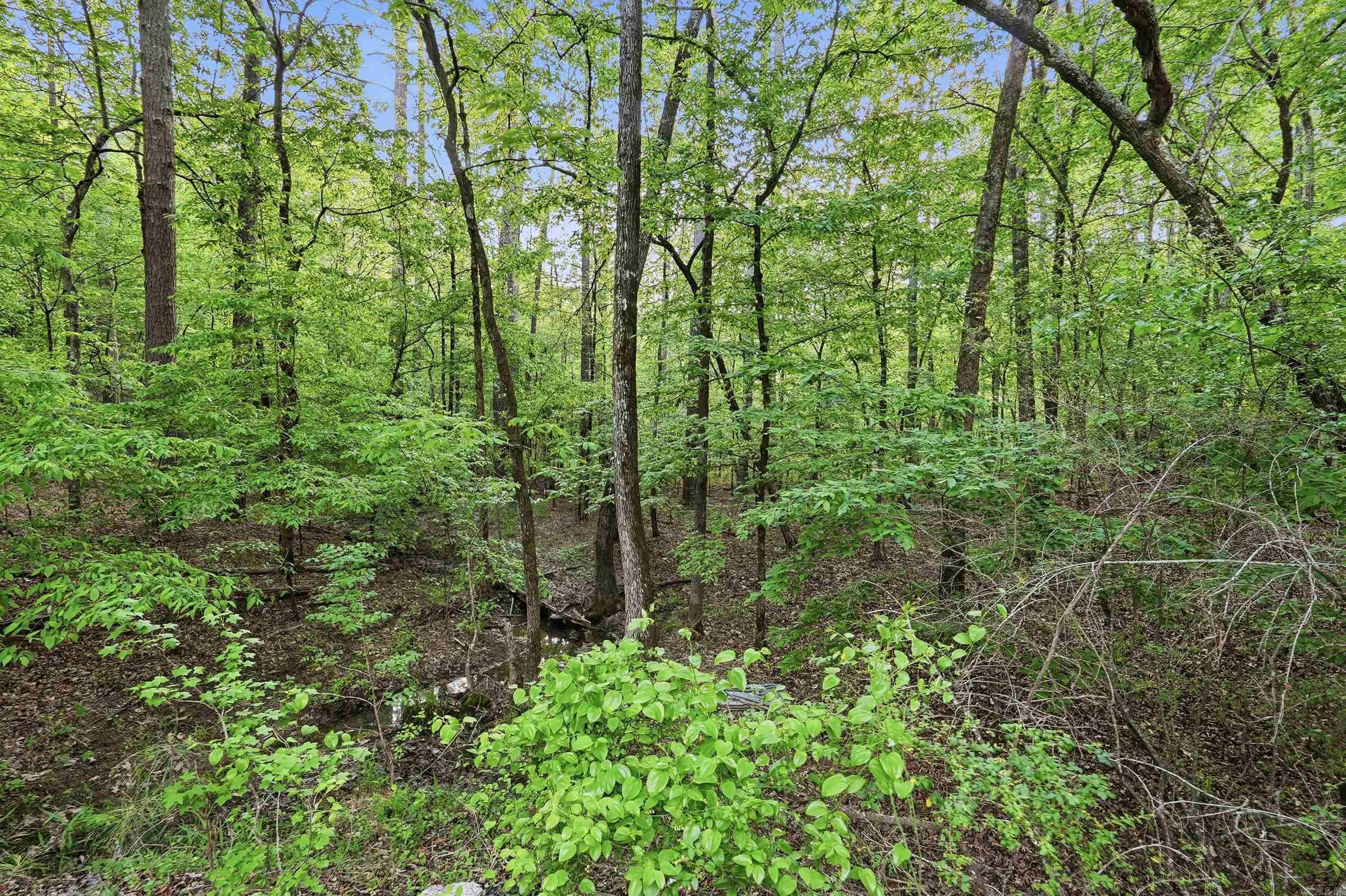 Lot 16 Tall Hickory Road Property Photo 23