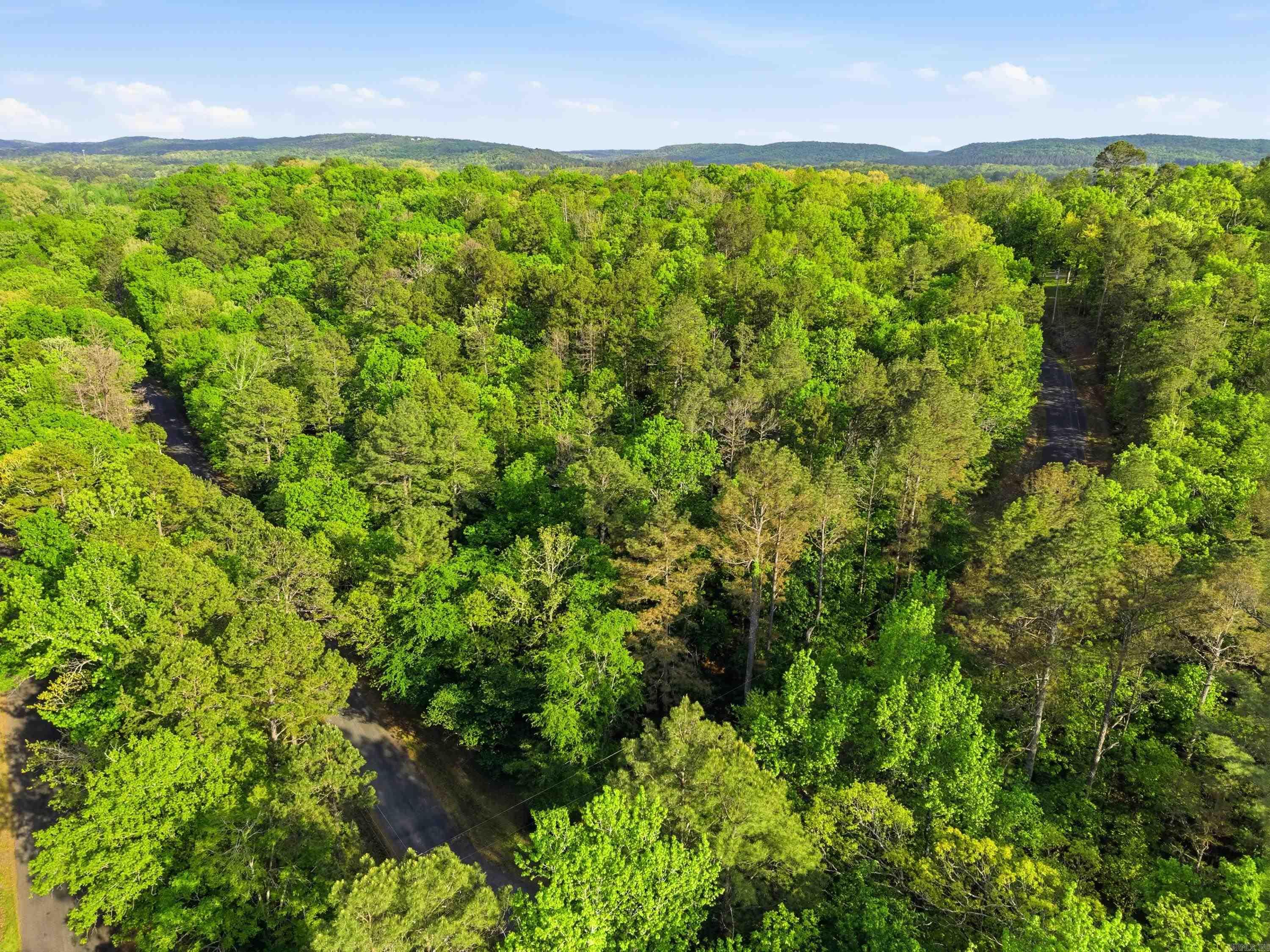 Lot 16 Tall Hickory Road Property Photo 31