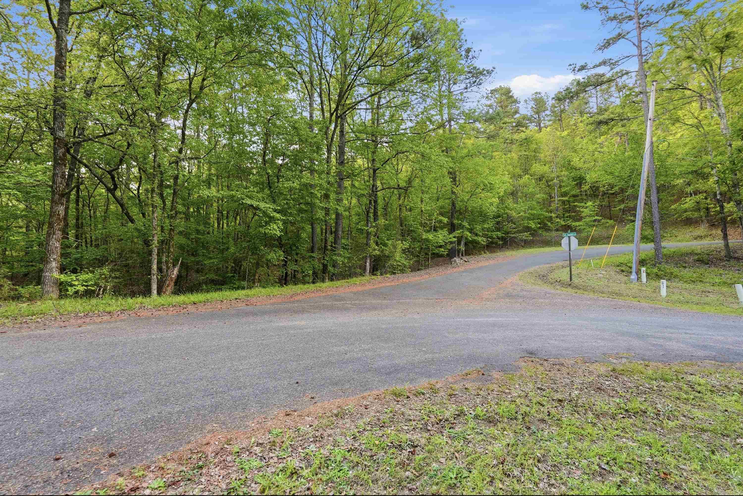 Lot 16 Tall Hickory Road Property Photo 33