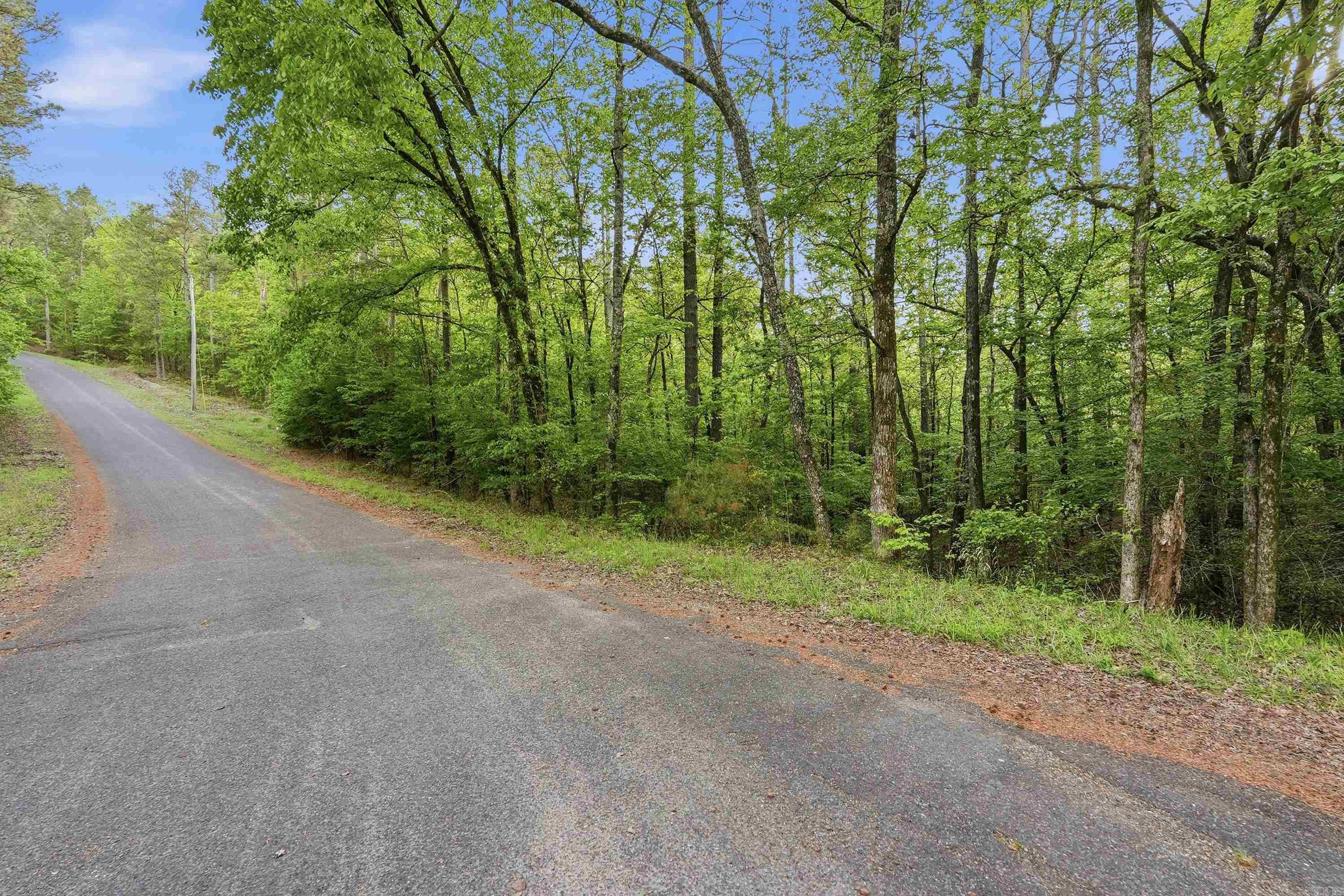 Lot 16 Tall Hickory Road Property Photo 34