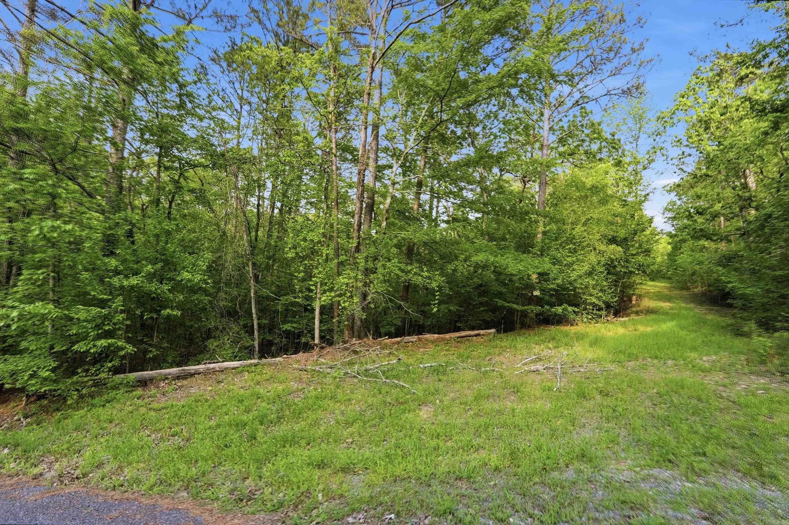 Lot 16 Tall Hickory Road Property Photo 39