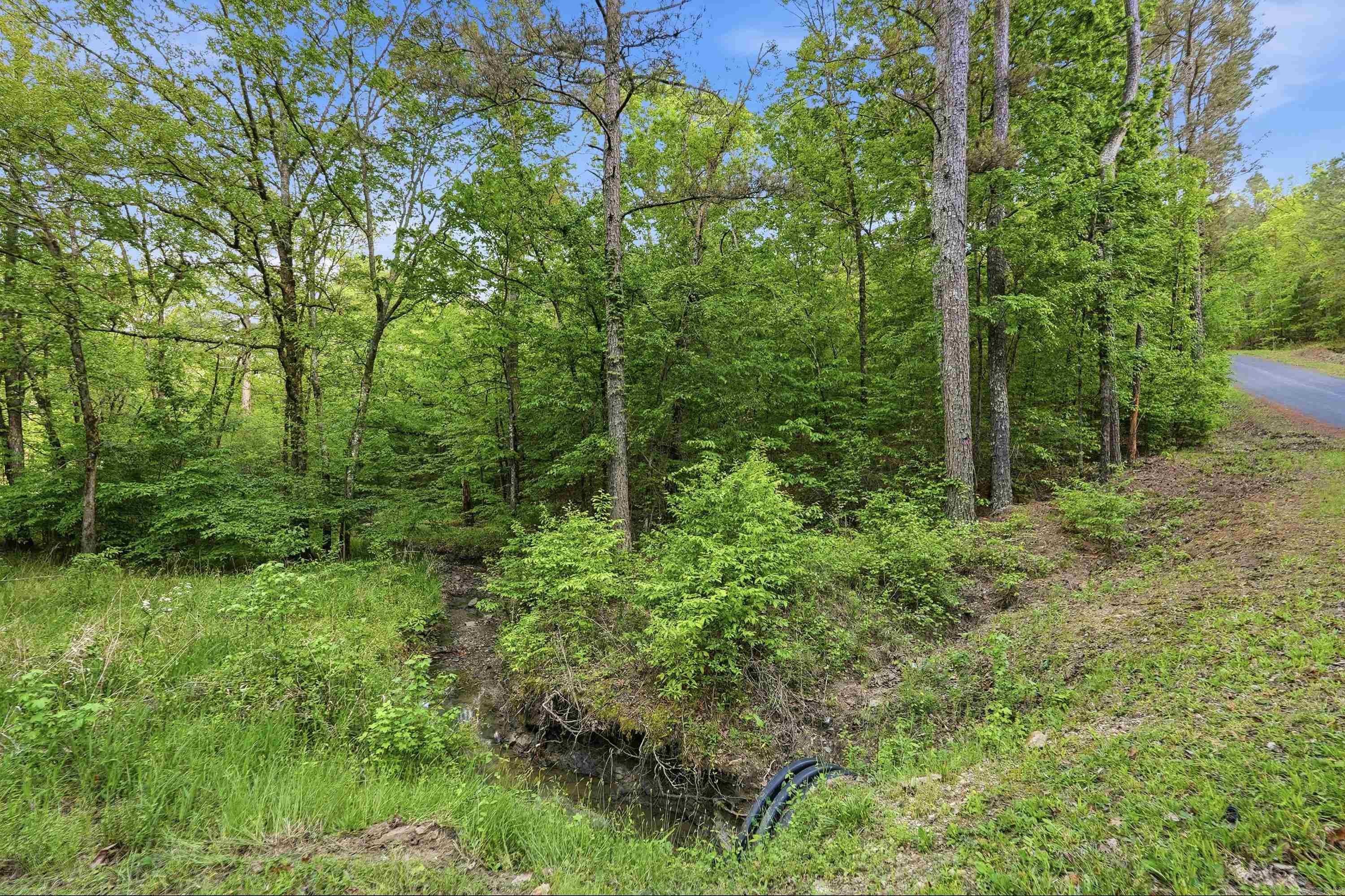 Lot 16 Tall Hickory Road Property Photo 40