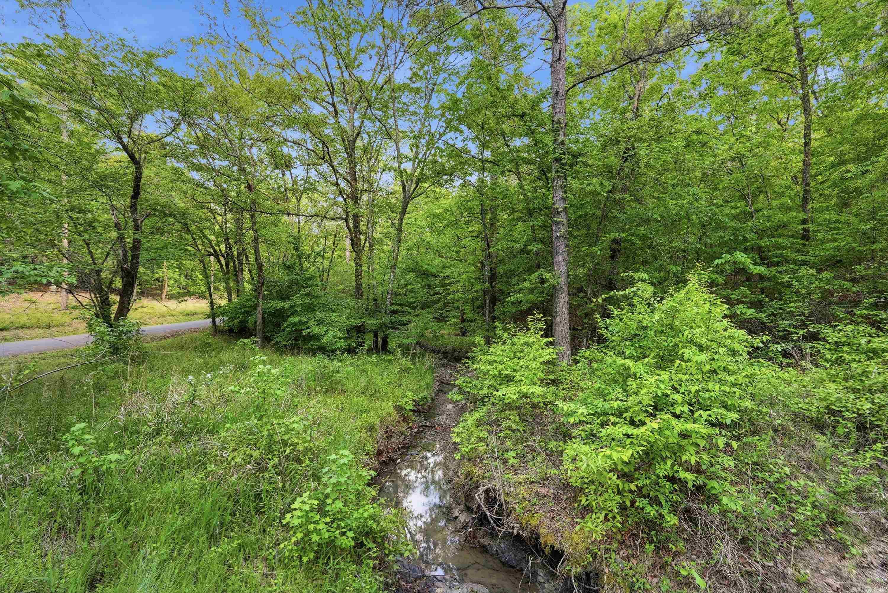 Lot 16 Tall Hickory Road Property Photo 41