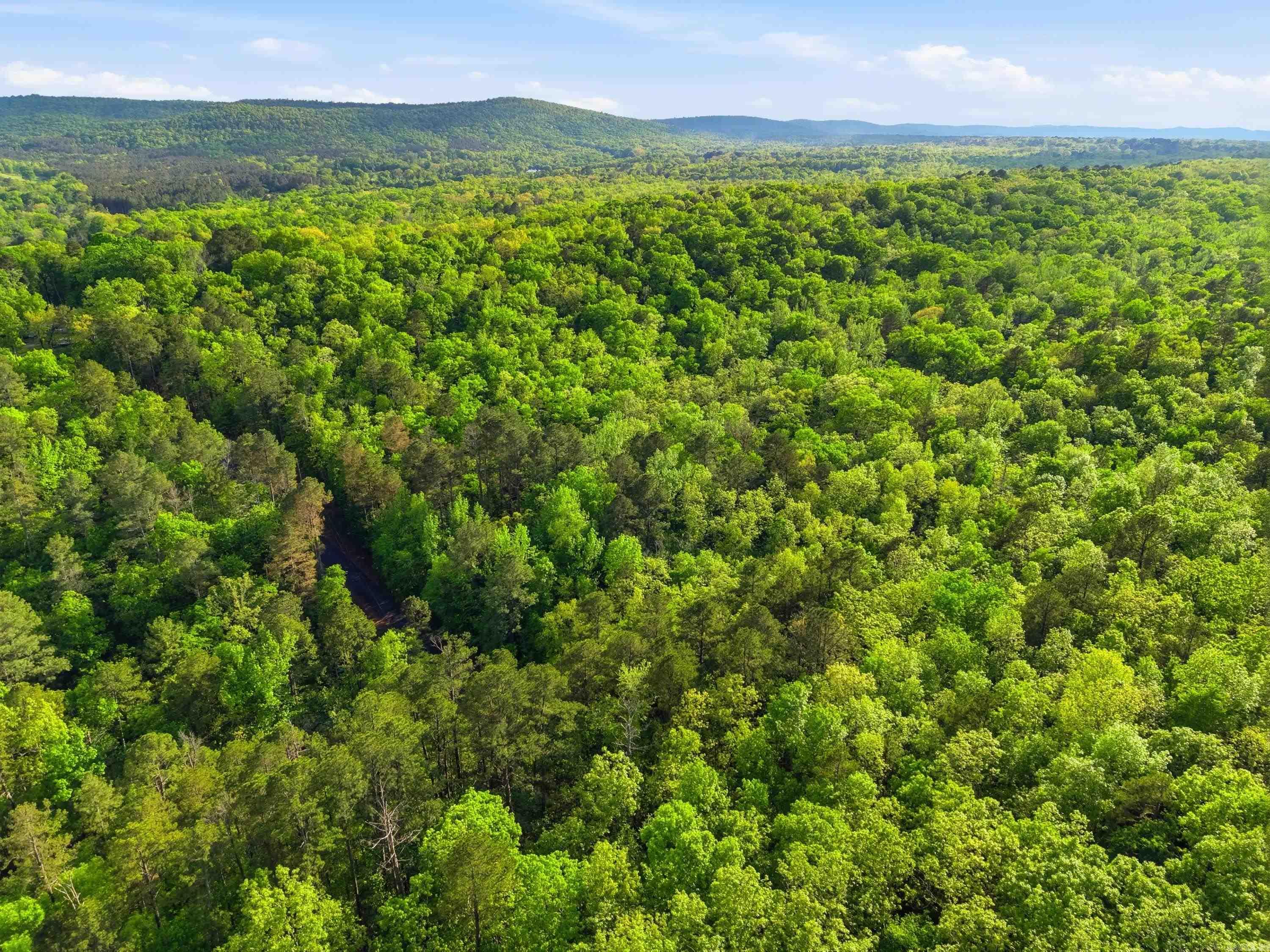 Lot 17 & 18 Tall Hickory Road Property Photo 24