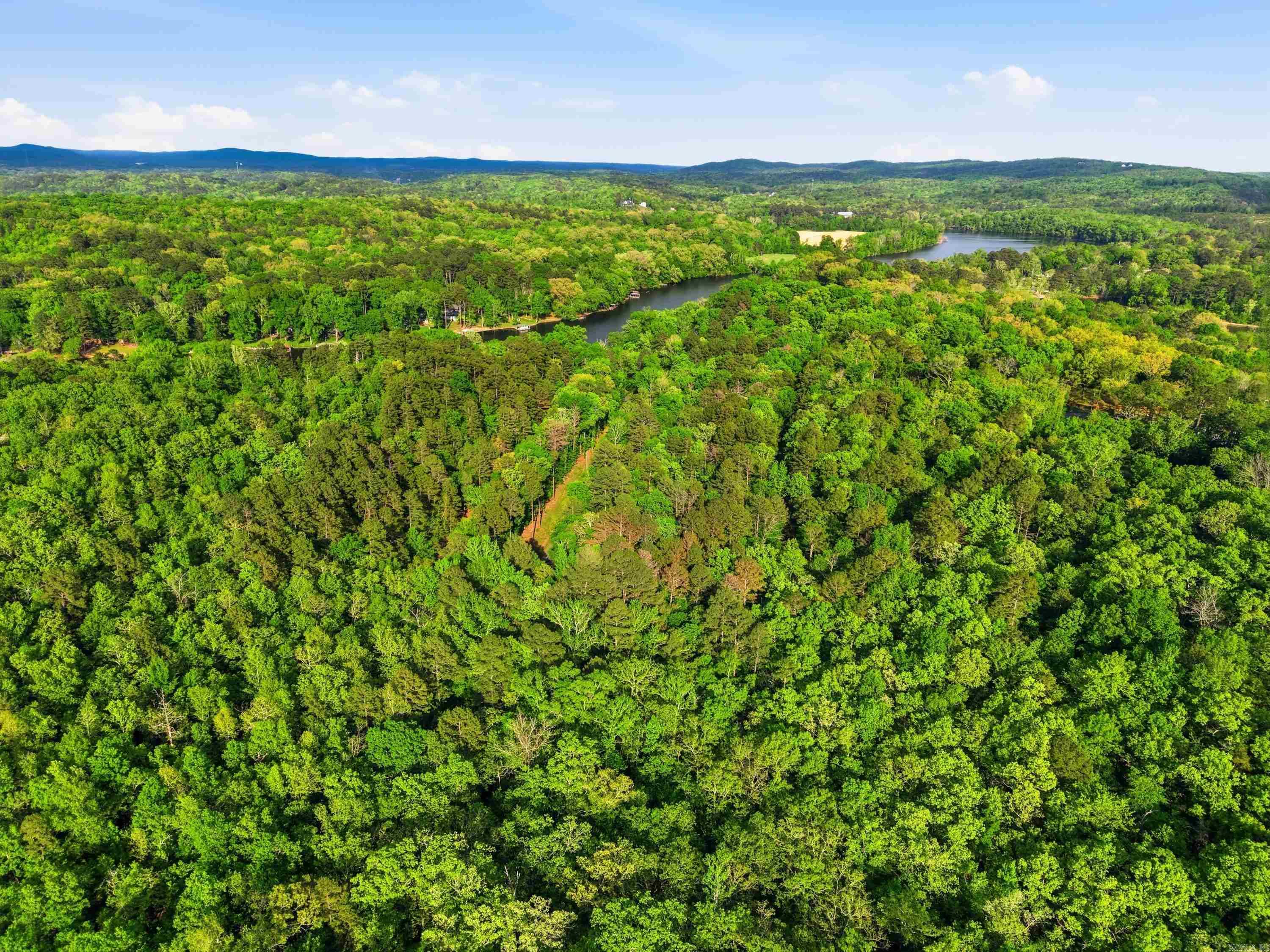 Lot 17 & 18 Tall Hickory Road Property Photo 29
