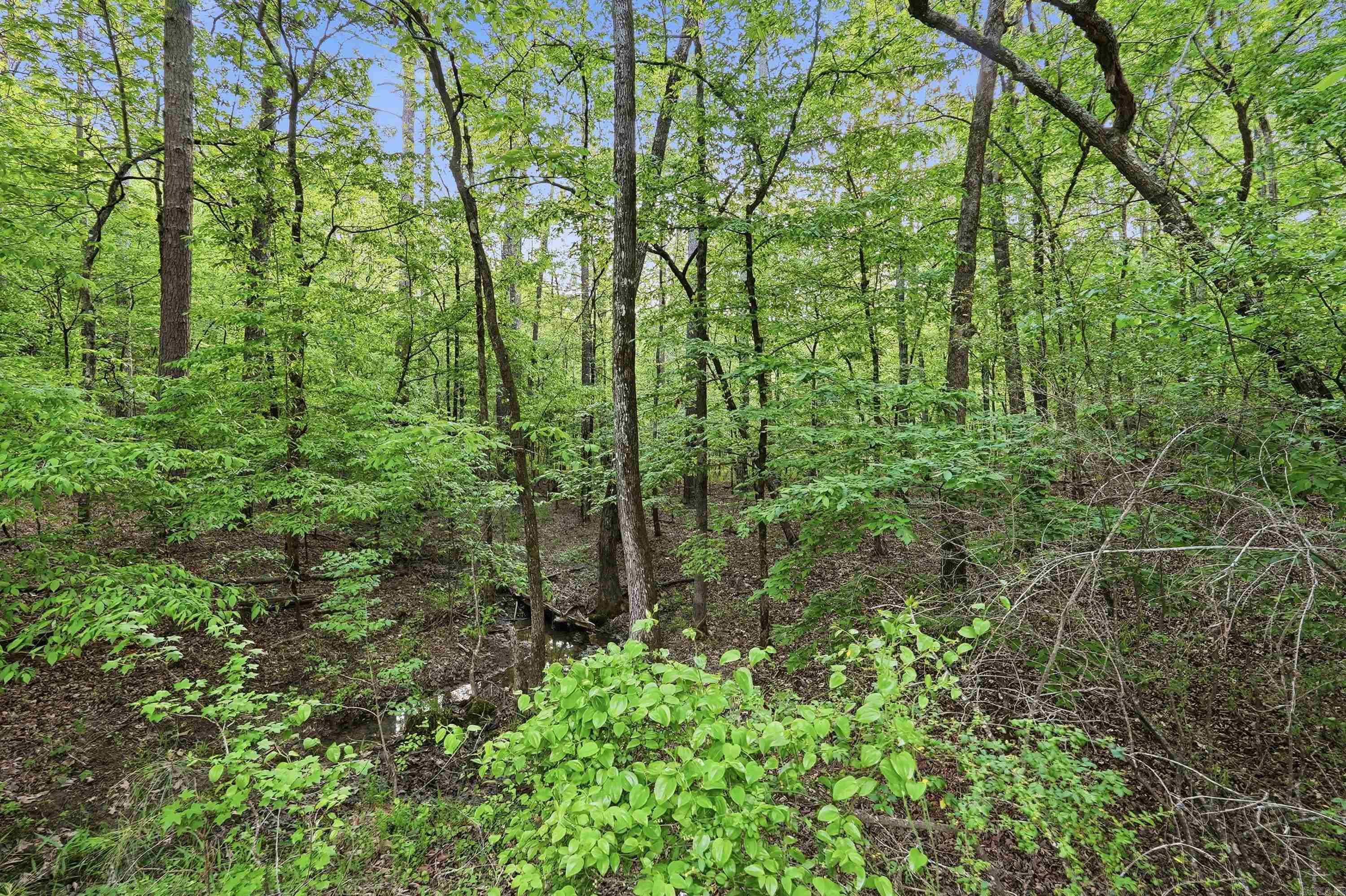 Lot 17 & 18 Tall Hickory Road Property Photo 42
