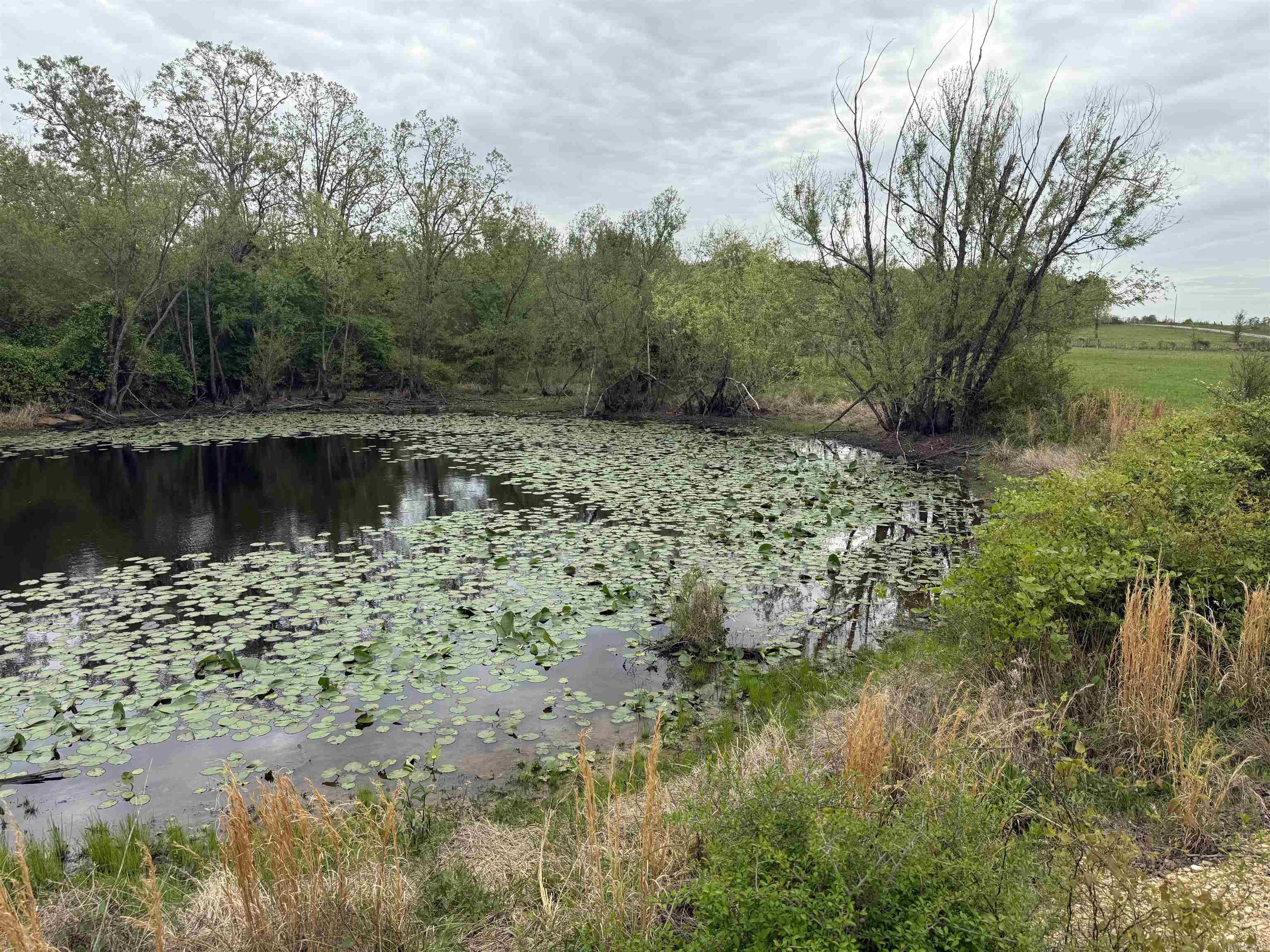 115 Bliss Road Property Photo 11