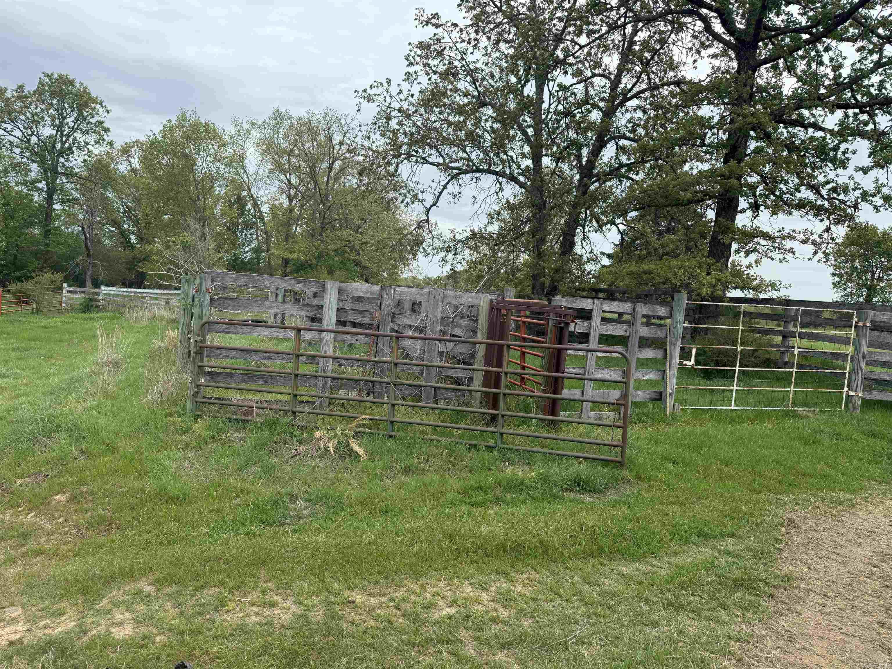 115 Bliss Road Property Photo 14