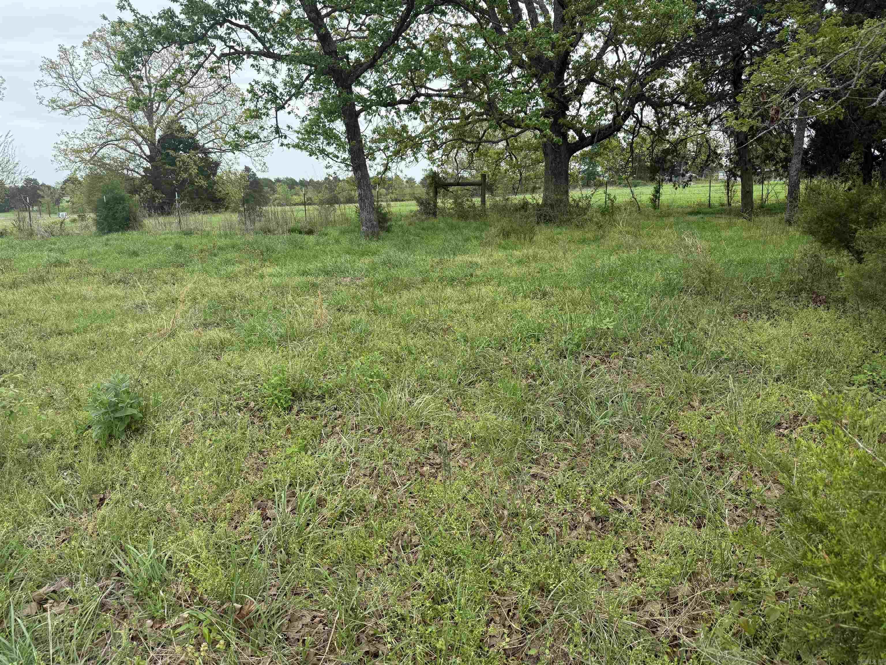 115 Bliss Road Property Photo 29