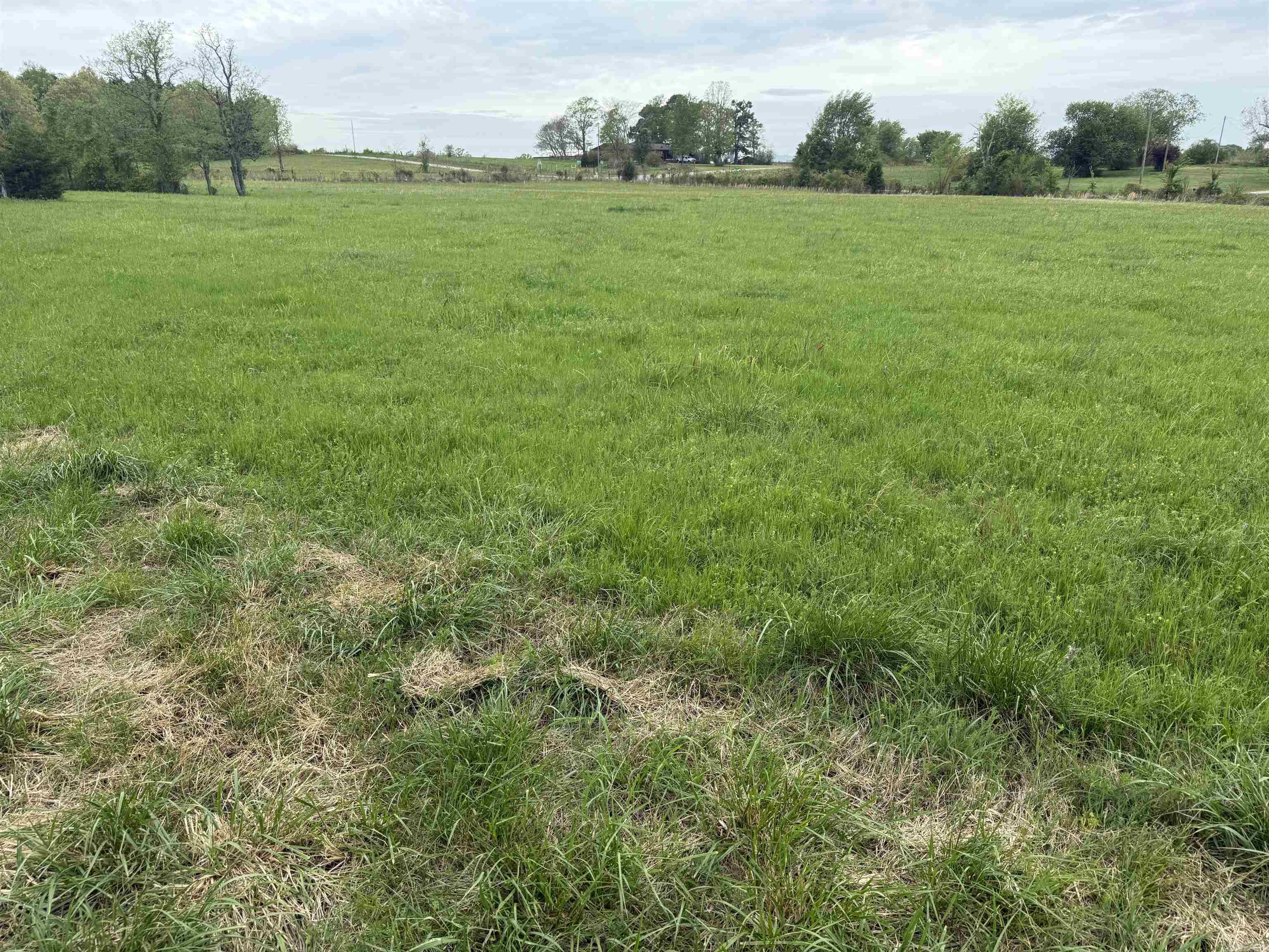 115 Bliss Road Property Photo 31