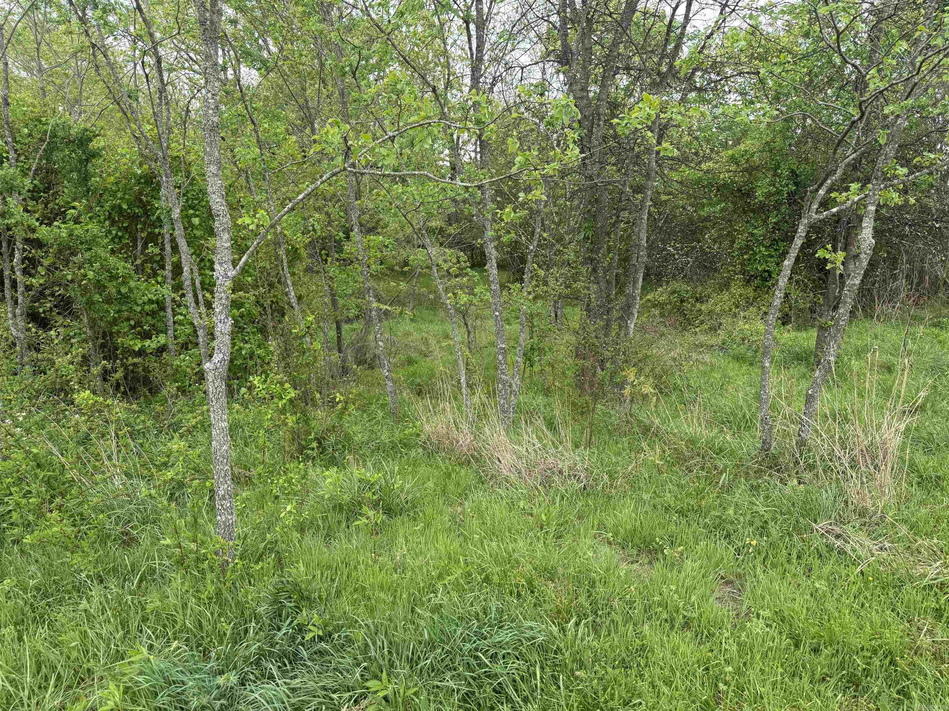 115 Bliss Road Property Photo 35