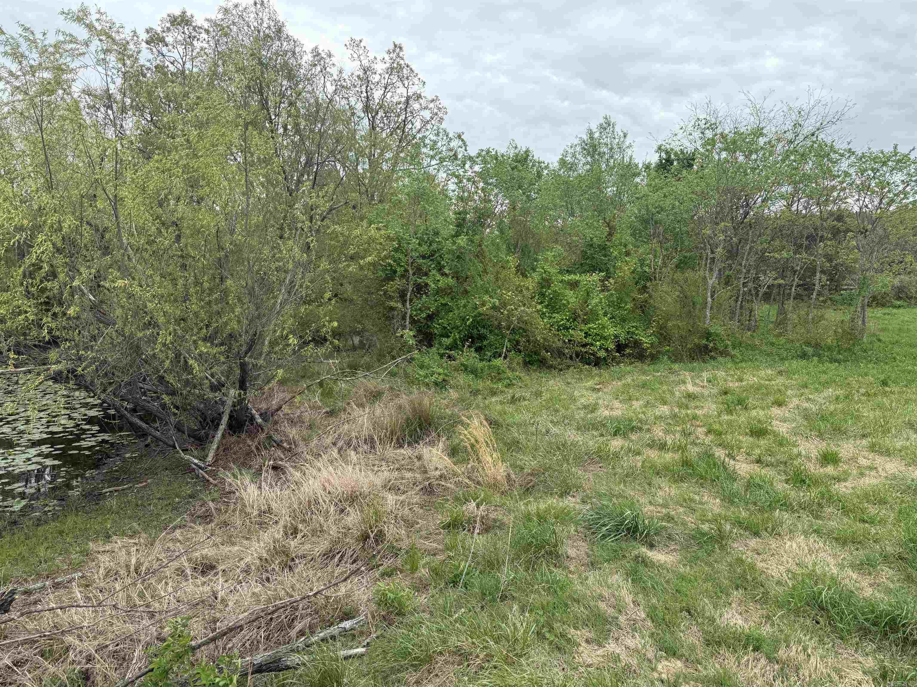 115 Bliss Road Property Photo 38