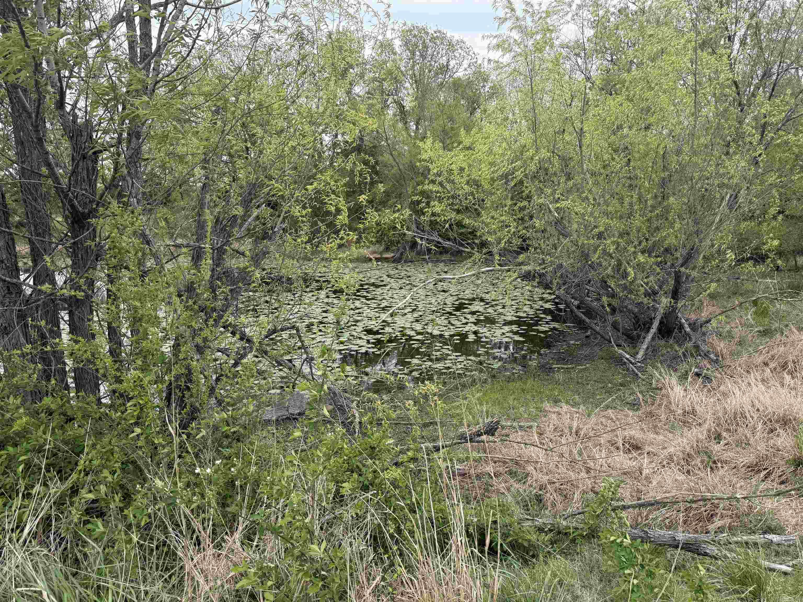 115 Bliss Road Property Photo 39