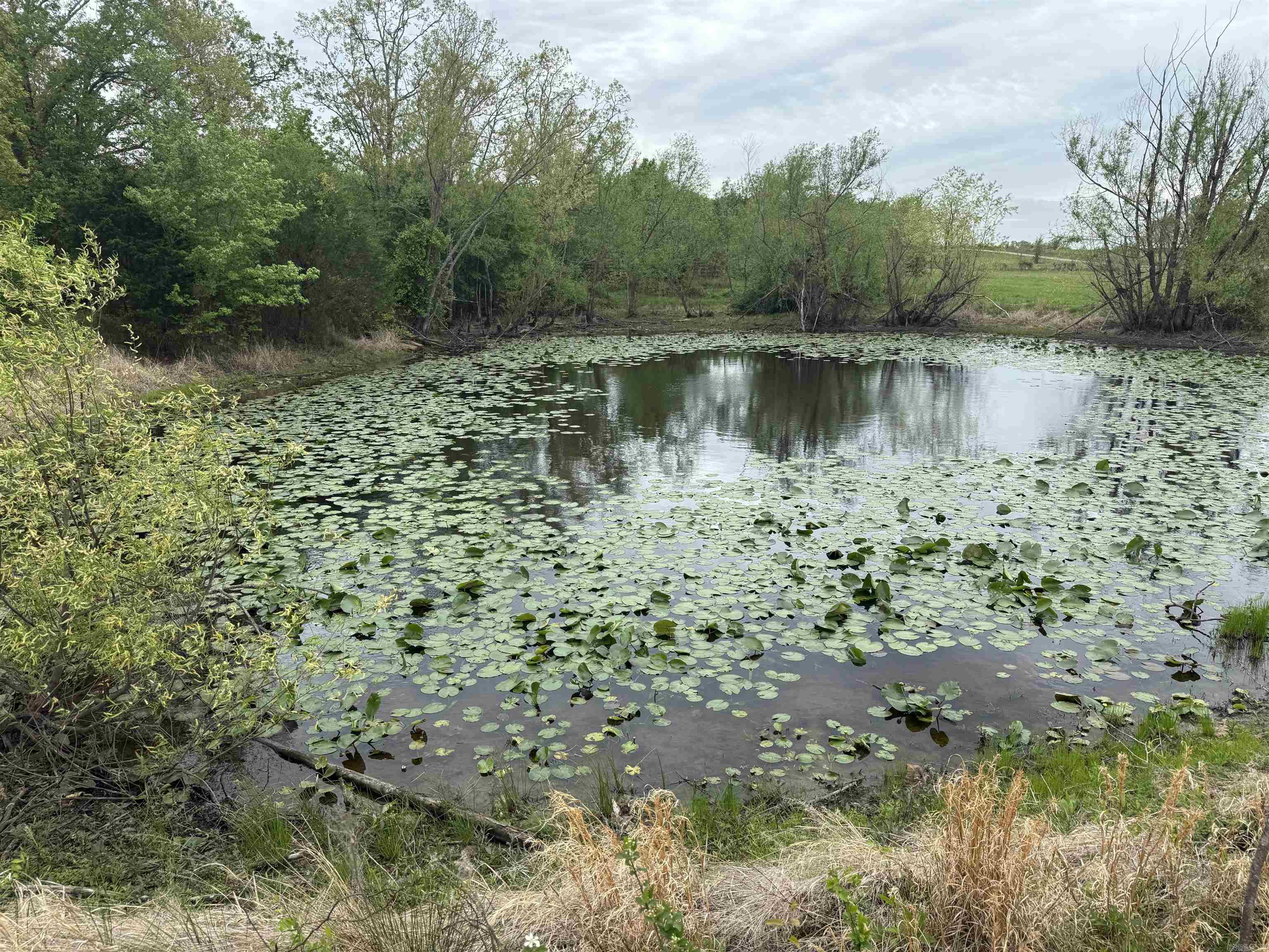 115 Bliss Road Property Photo 44