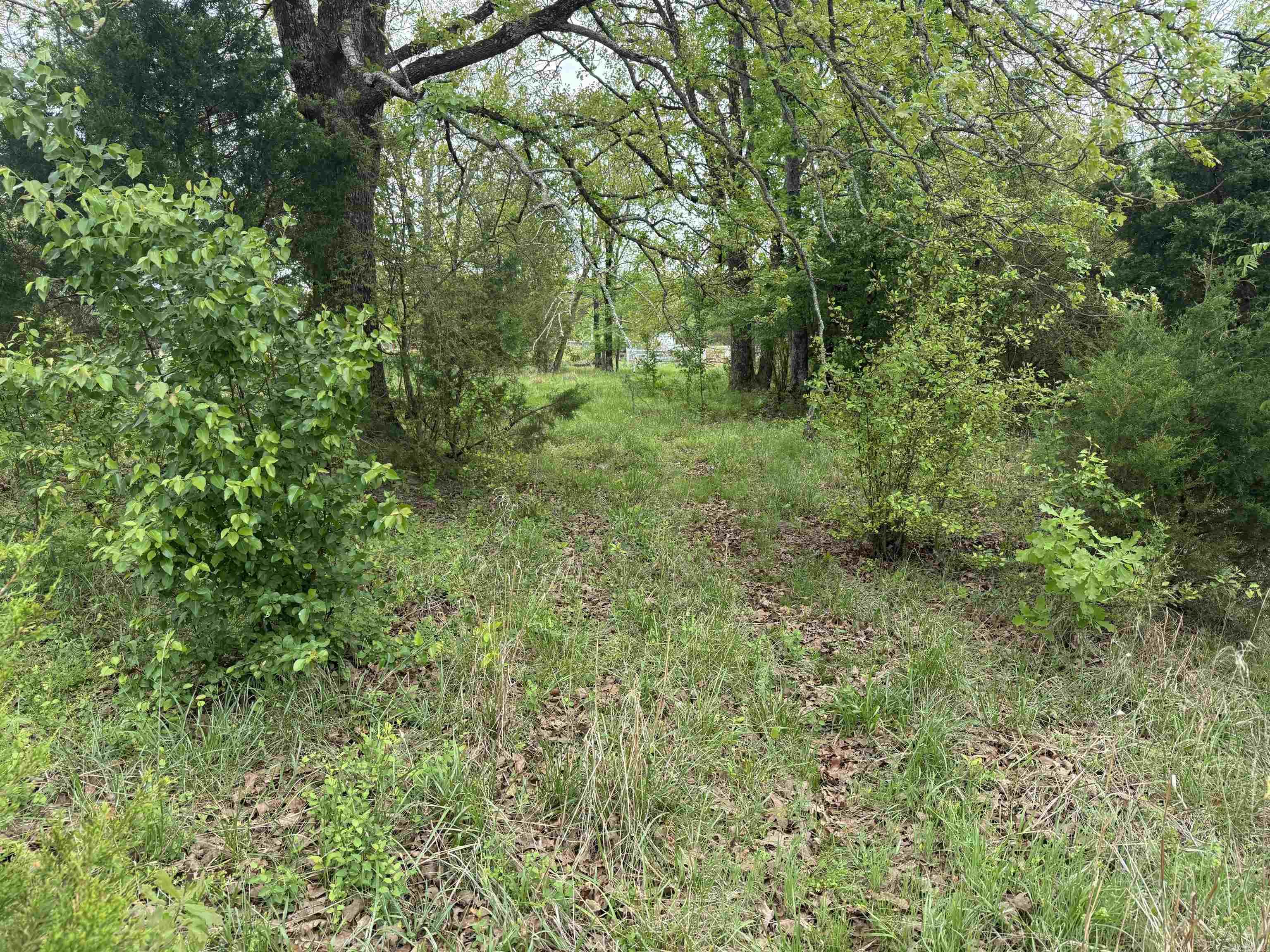 115 Bliss Road Property Photo 45