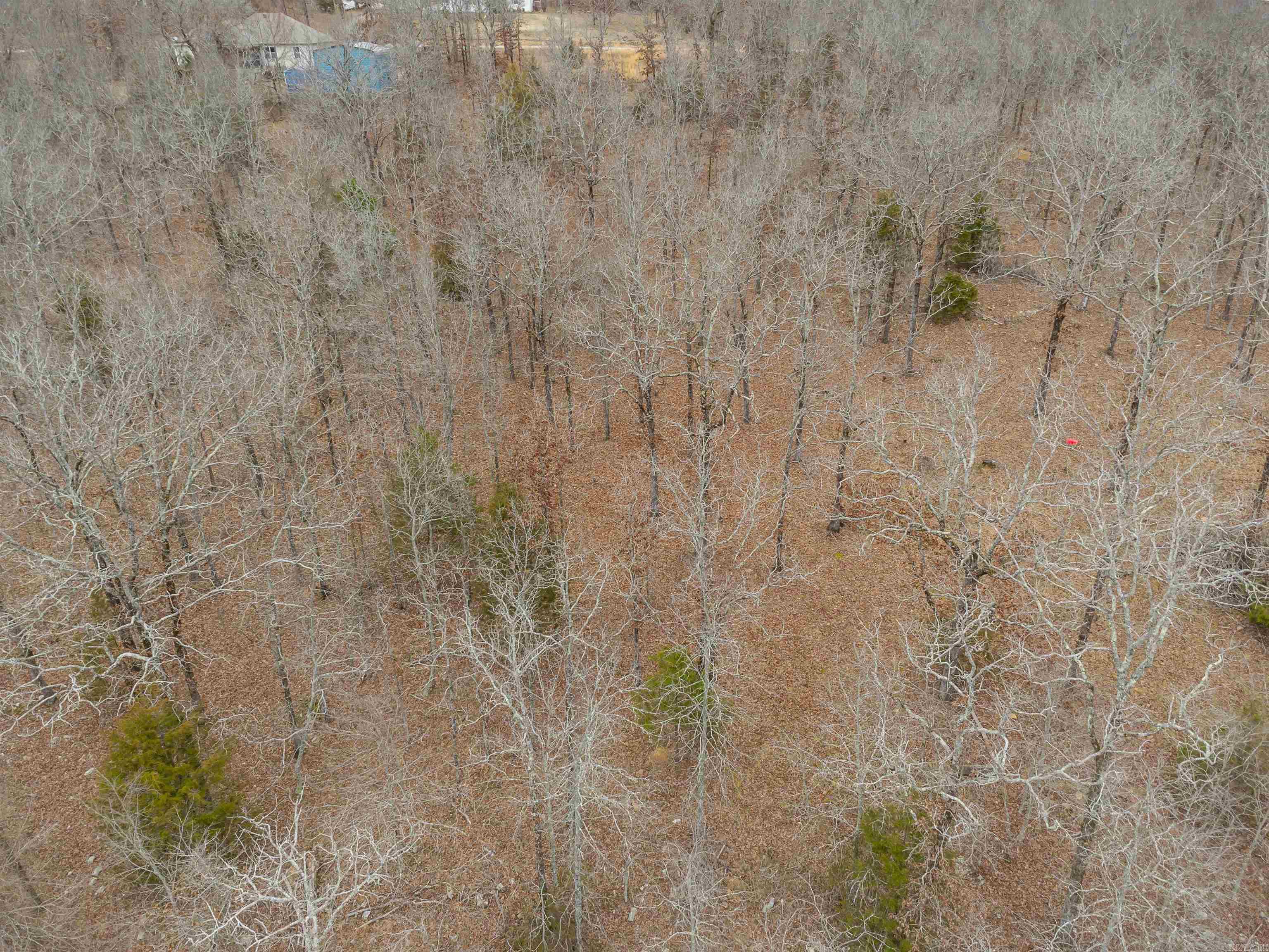 14 Vista Trl Property Photo 6