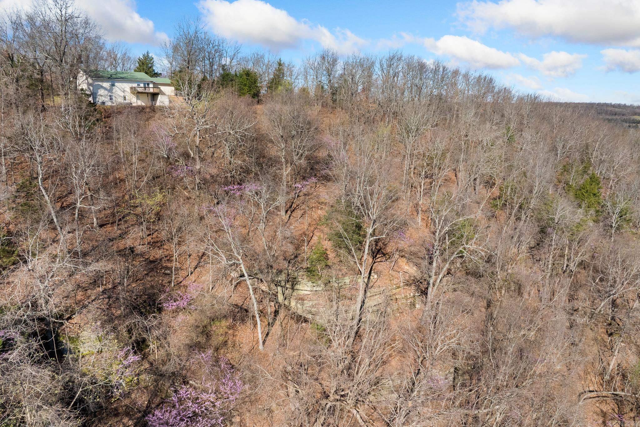 10974 Ricks Drive Property Photo 46