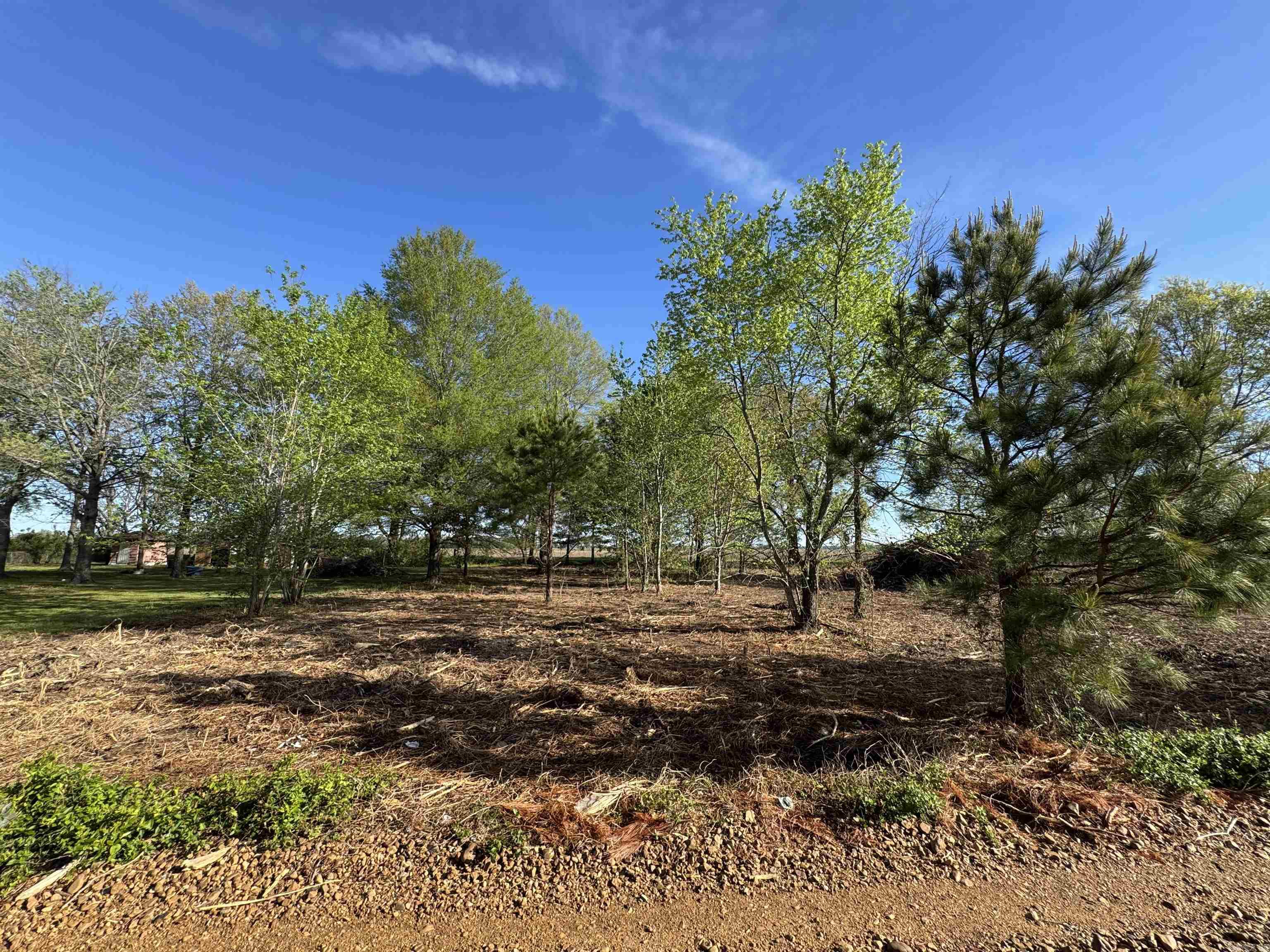 Lot 58 Cr 236 Property Photo 2