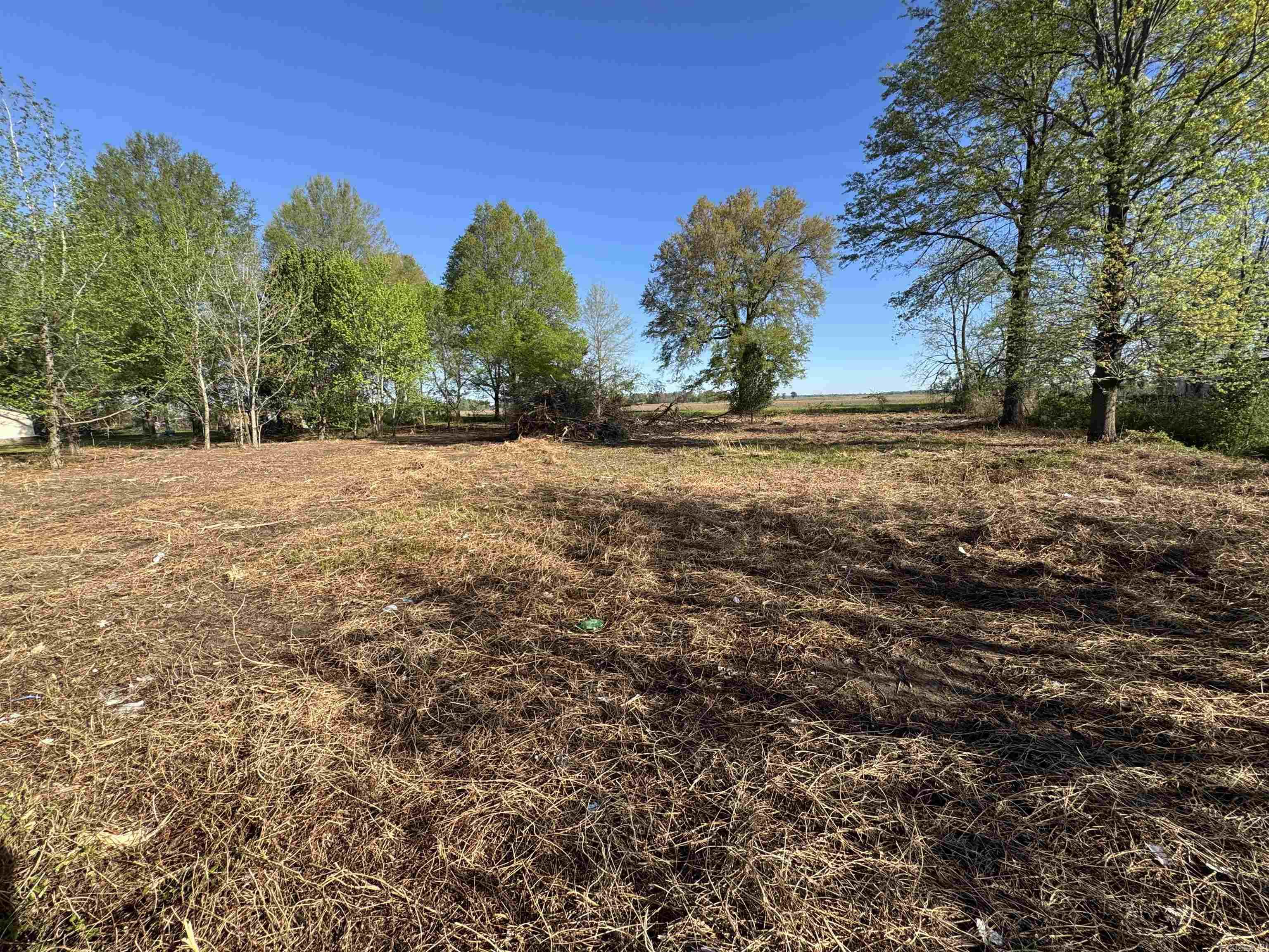 Lot 58 Cr 236 Property Photo 3