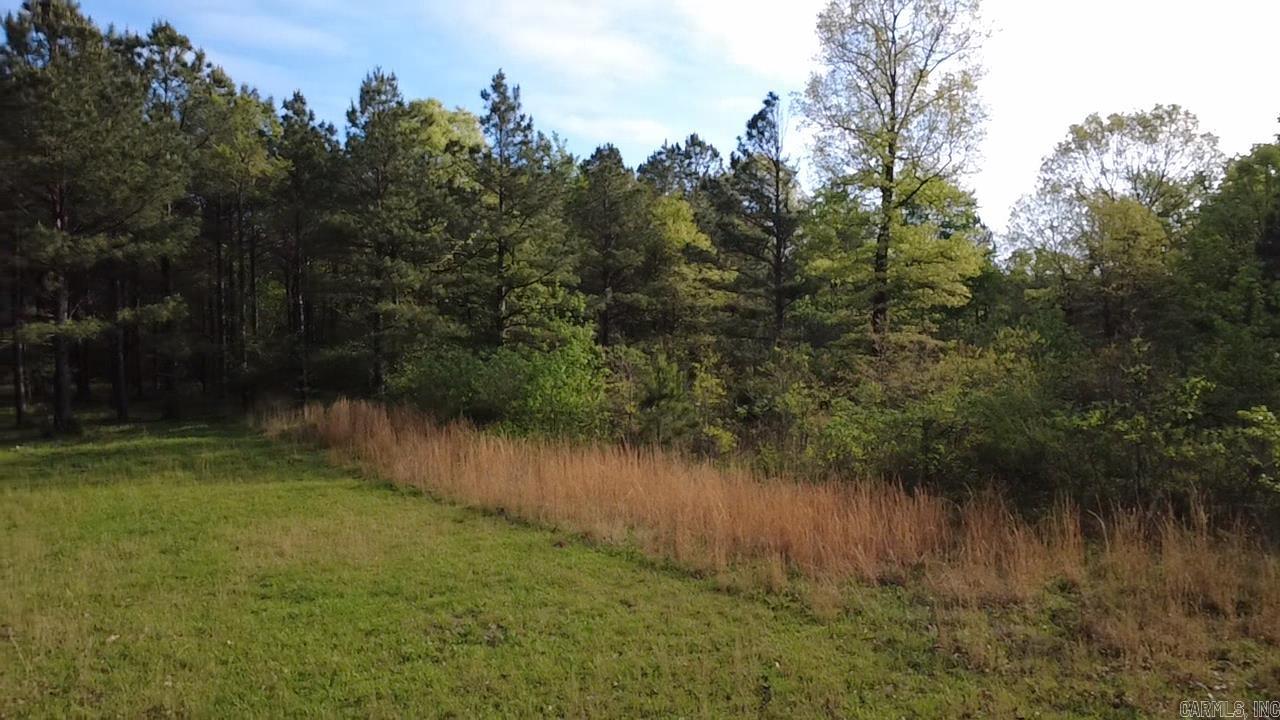 Tbd Suzie Ln Property Photo 3