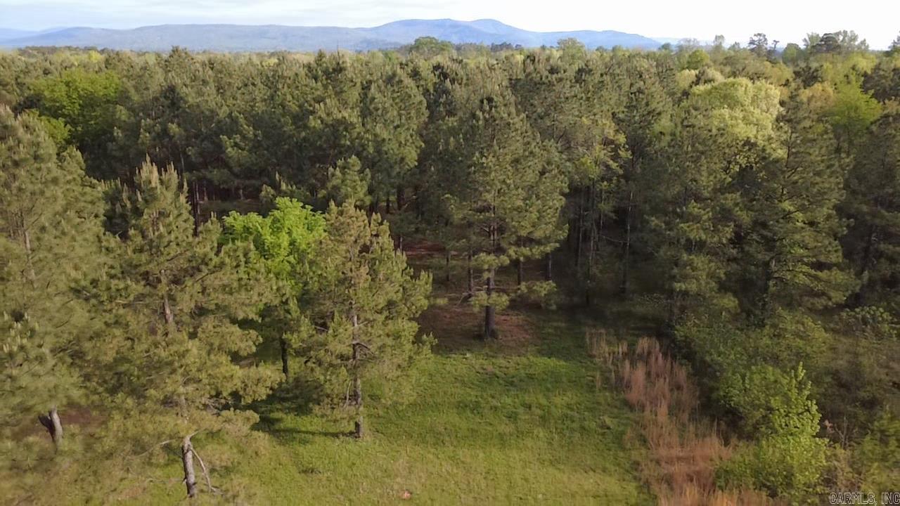 Tbd Suzie Ln Property Photo 6