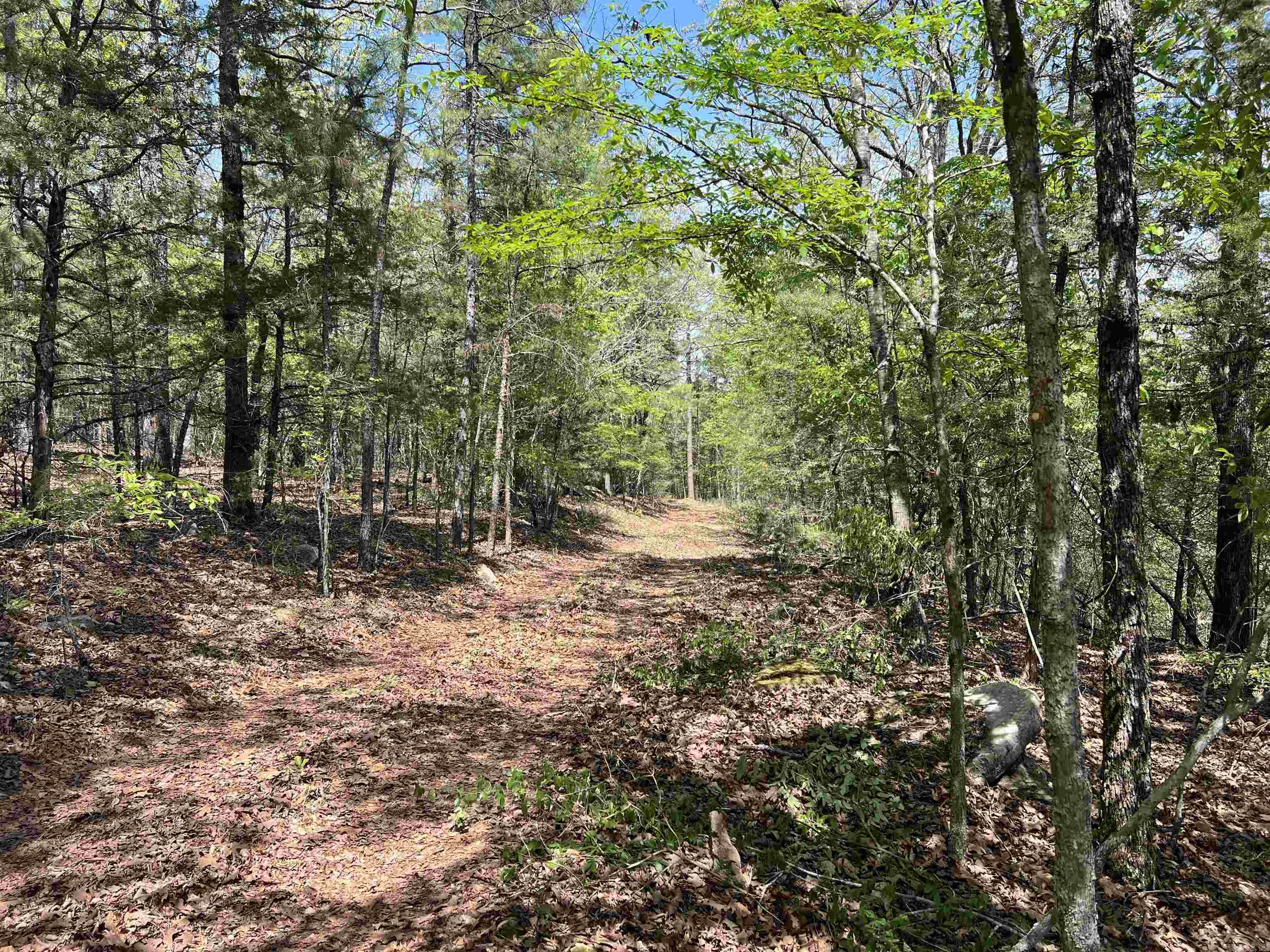 Tract 2 Fox Pen Rd. Property Photo 5