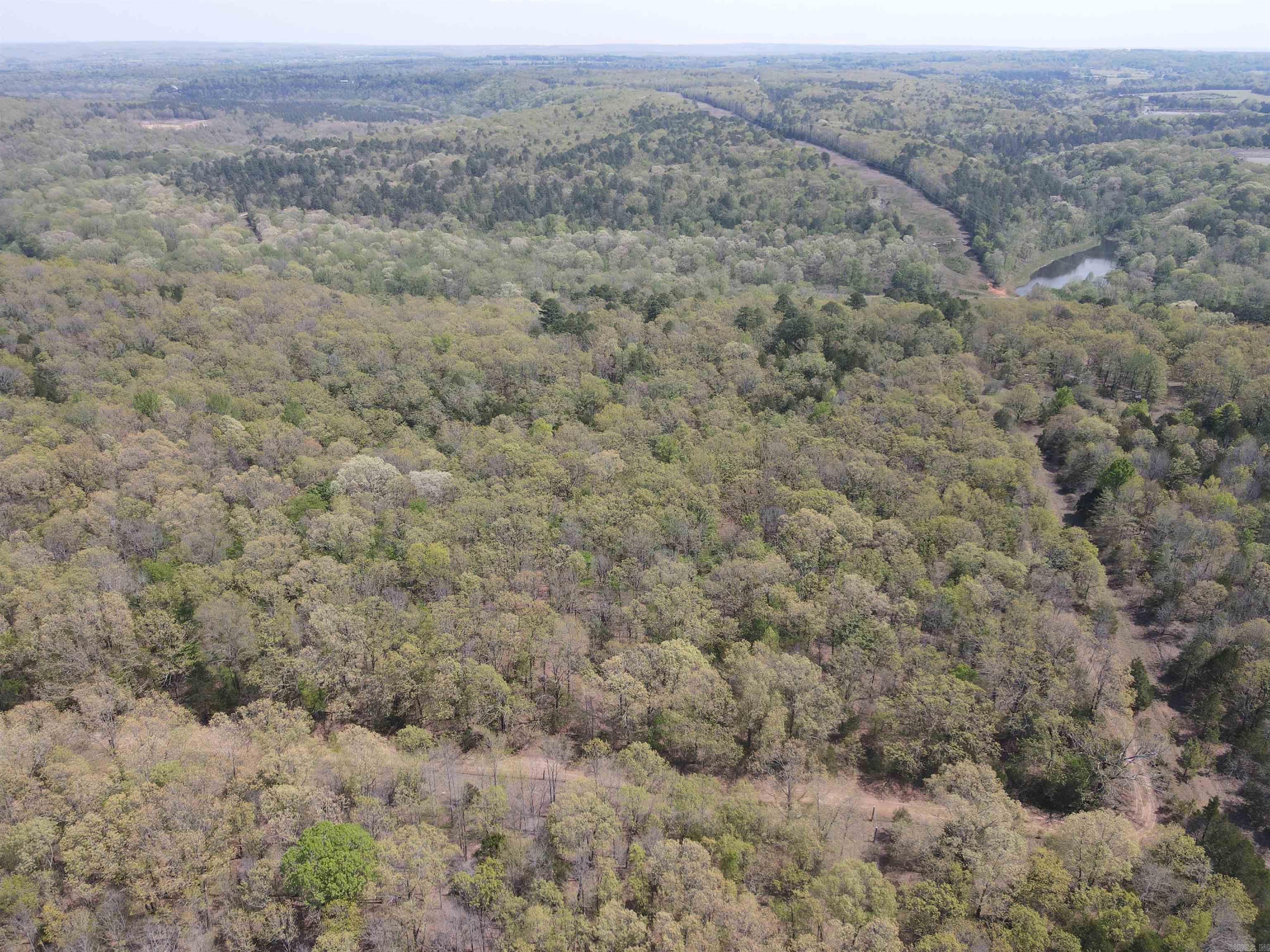 Tract 2 Fox Pen Rd. Property Photo 7