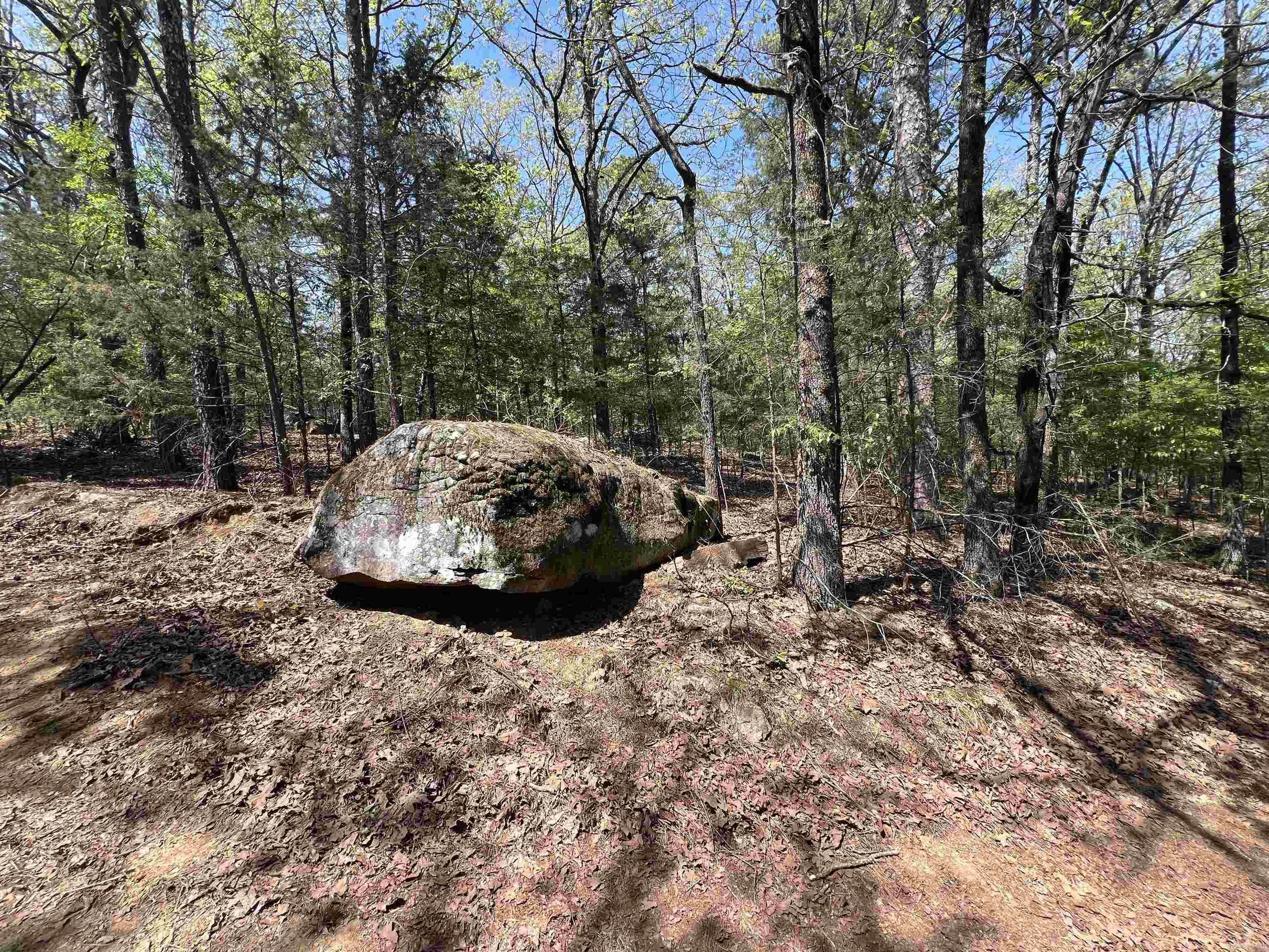 Tract 2 Fox Pen Rd. Property Photo 15