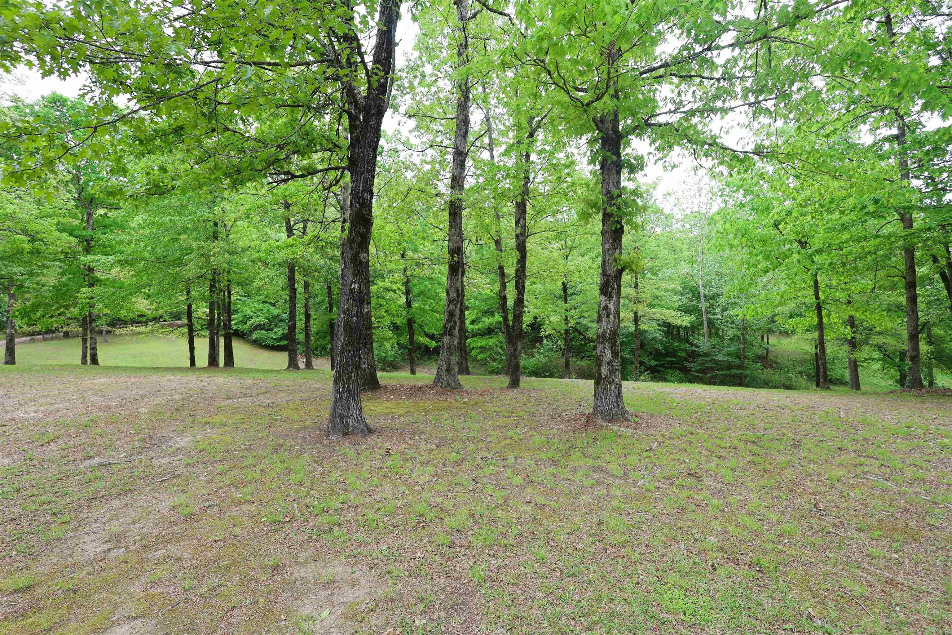4 River Watch Lane Property Photo 43