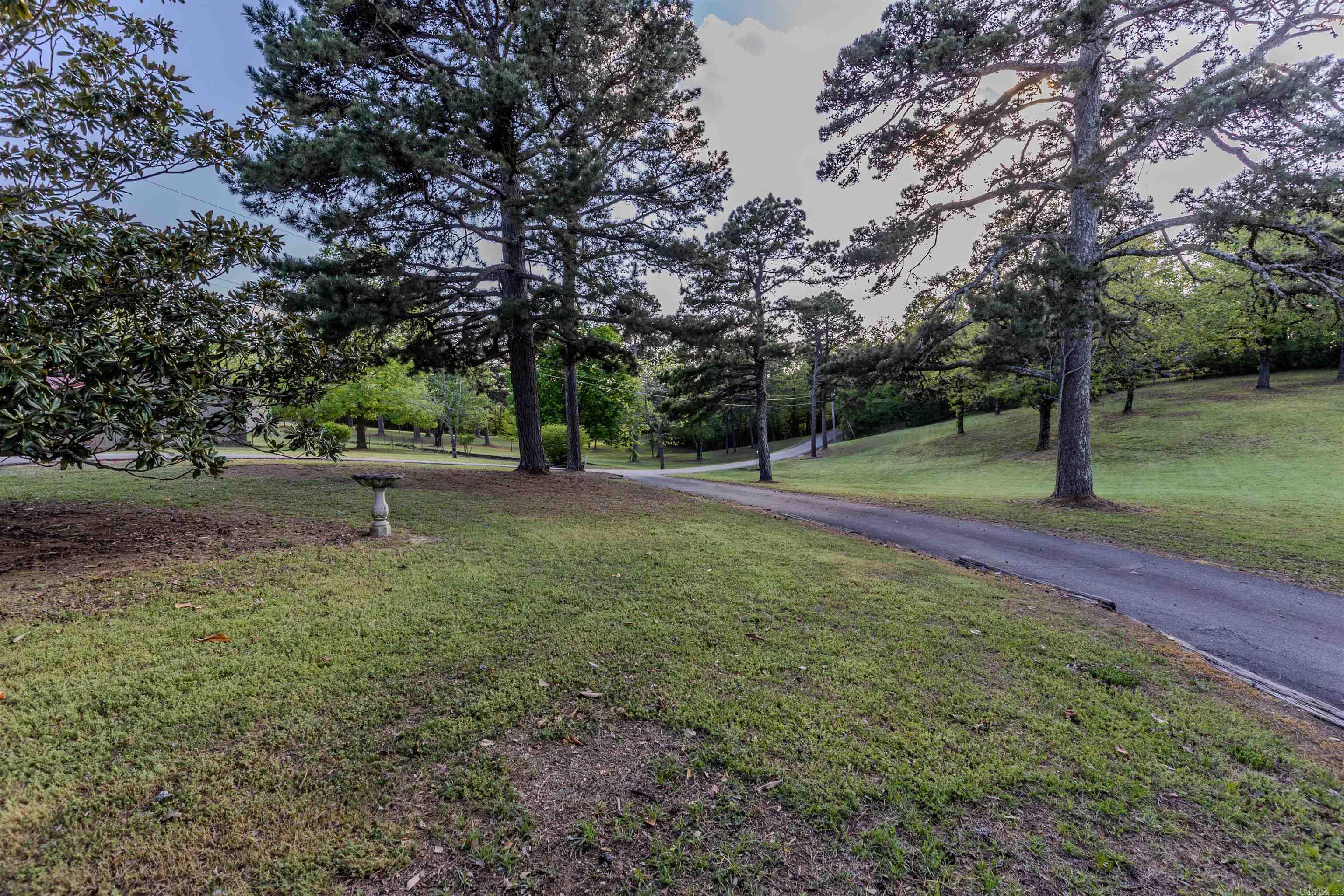 244 Pearson Road Property Photo 5