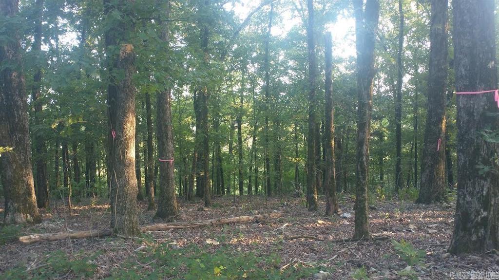 Lot Q Hwy 8 E Property Photo 4