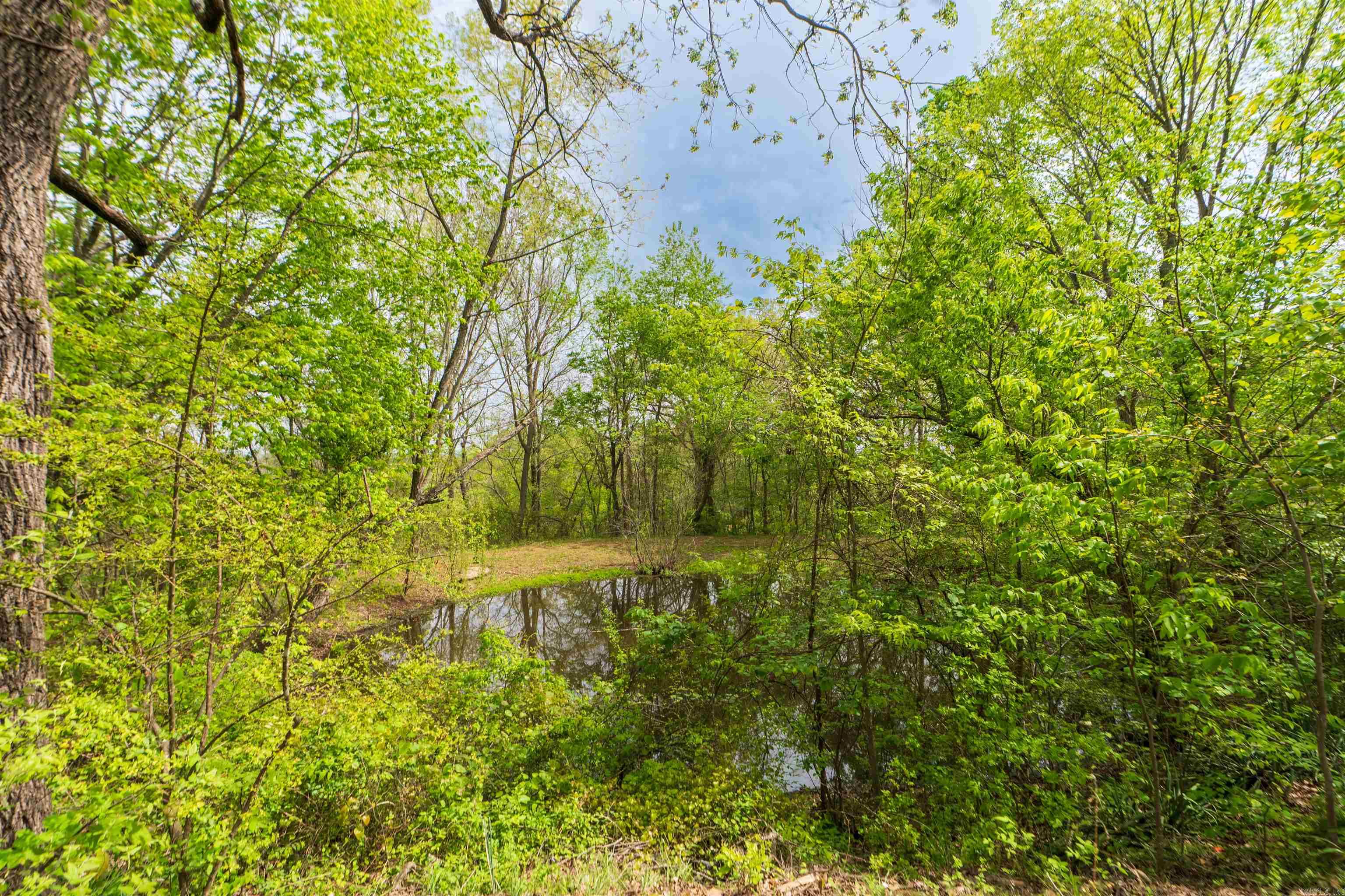 12633 Hwy 65 Property Photo 30