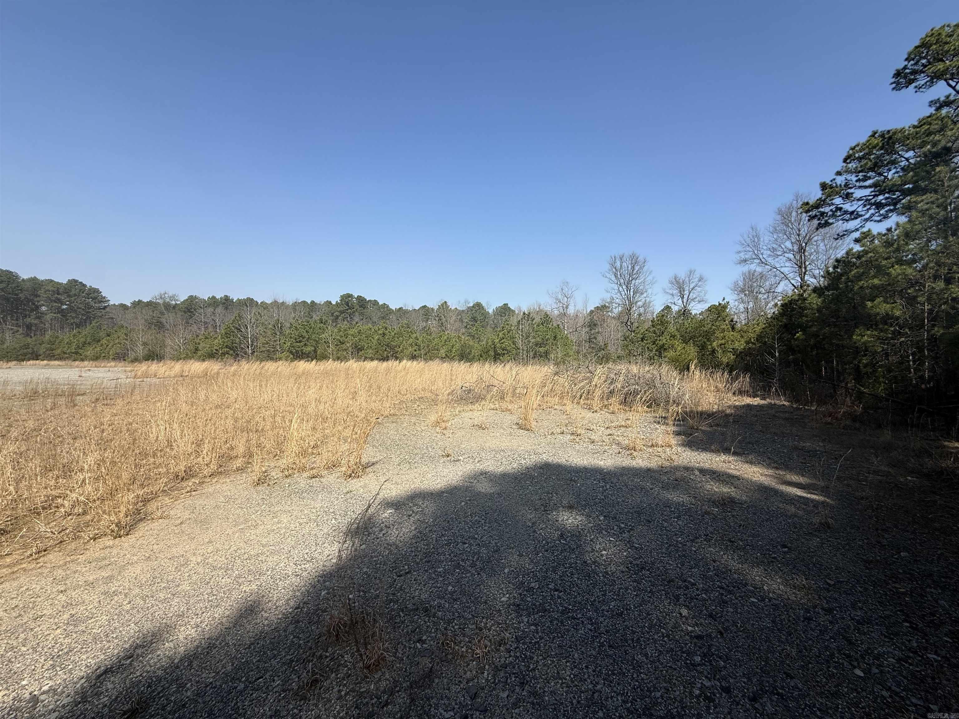 #1 = 40 Acres Rubes Road Property Photo 3