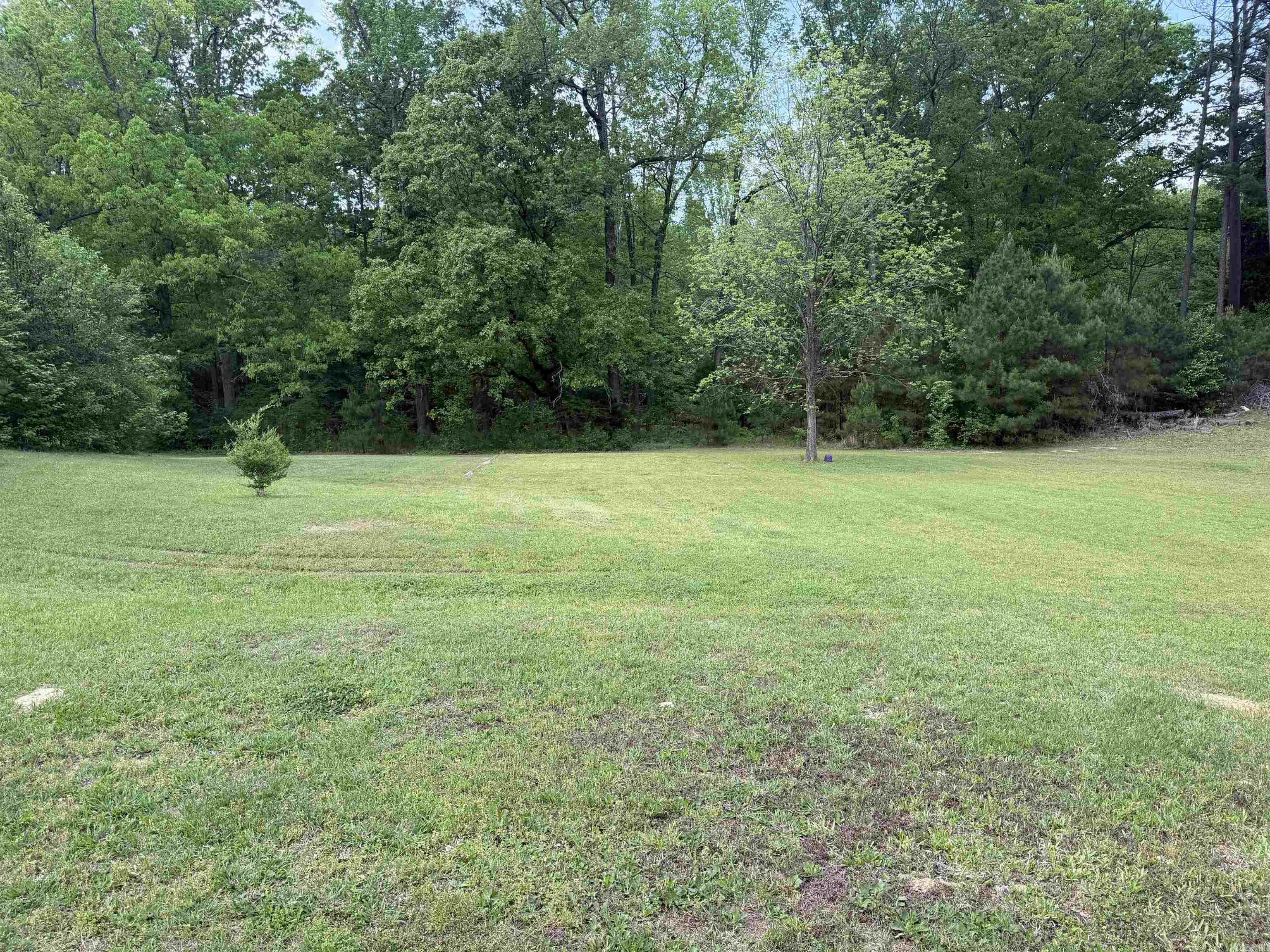 301 Turner Property Photo 2