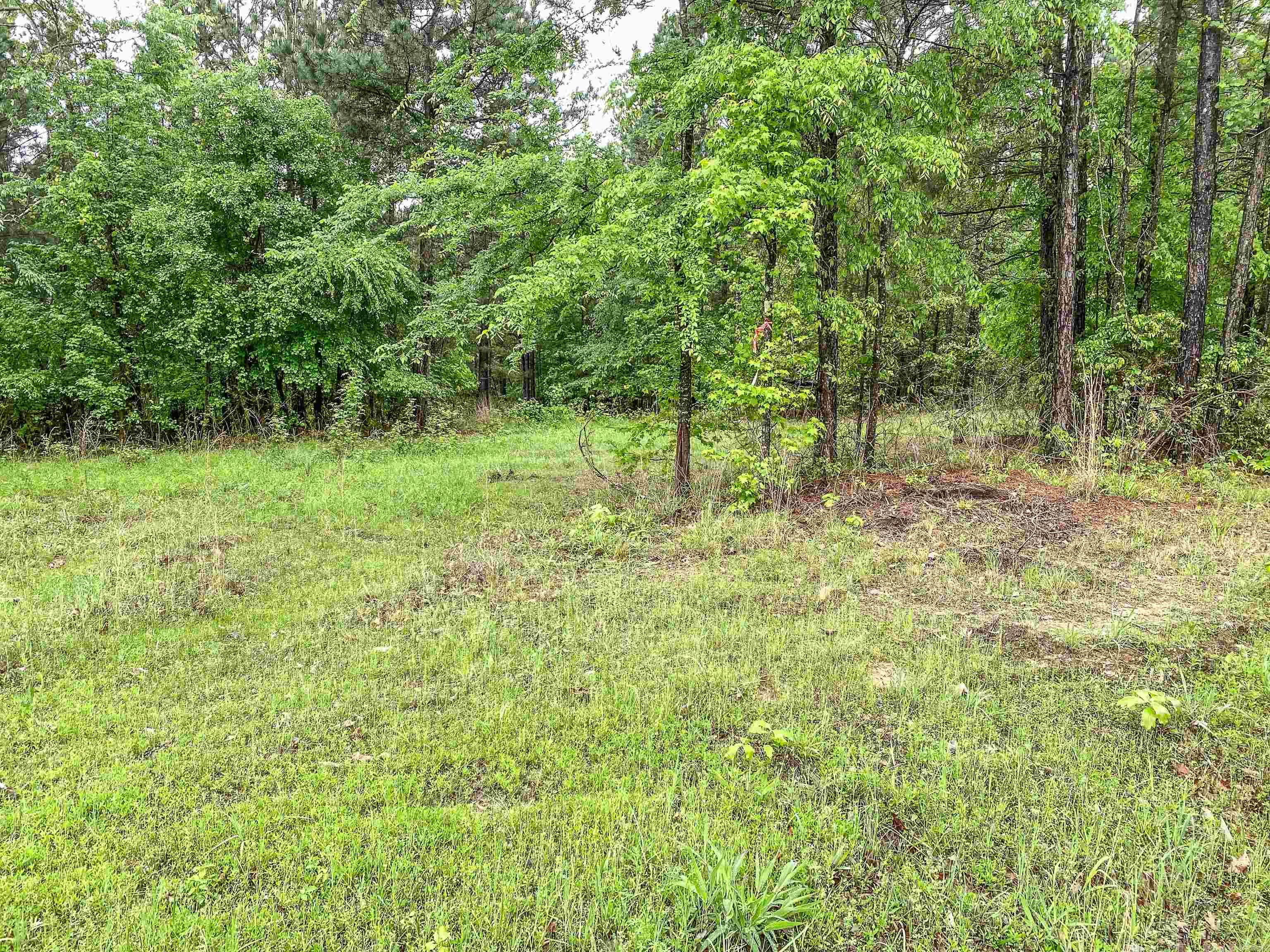 1801 Edgewood Drive Property Photo 10