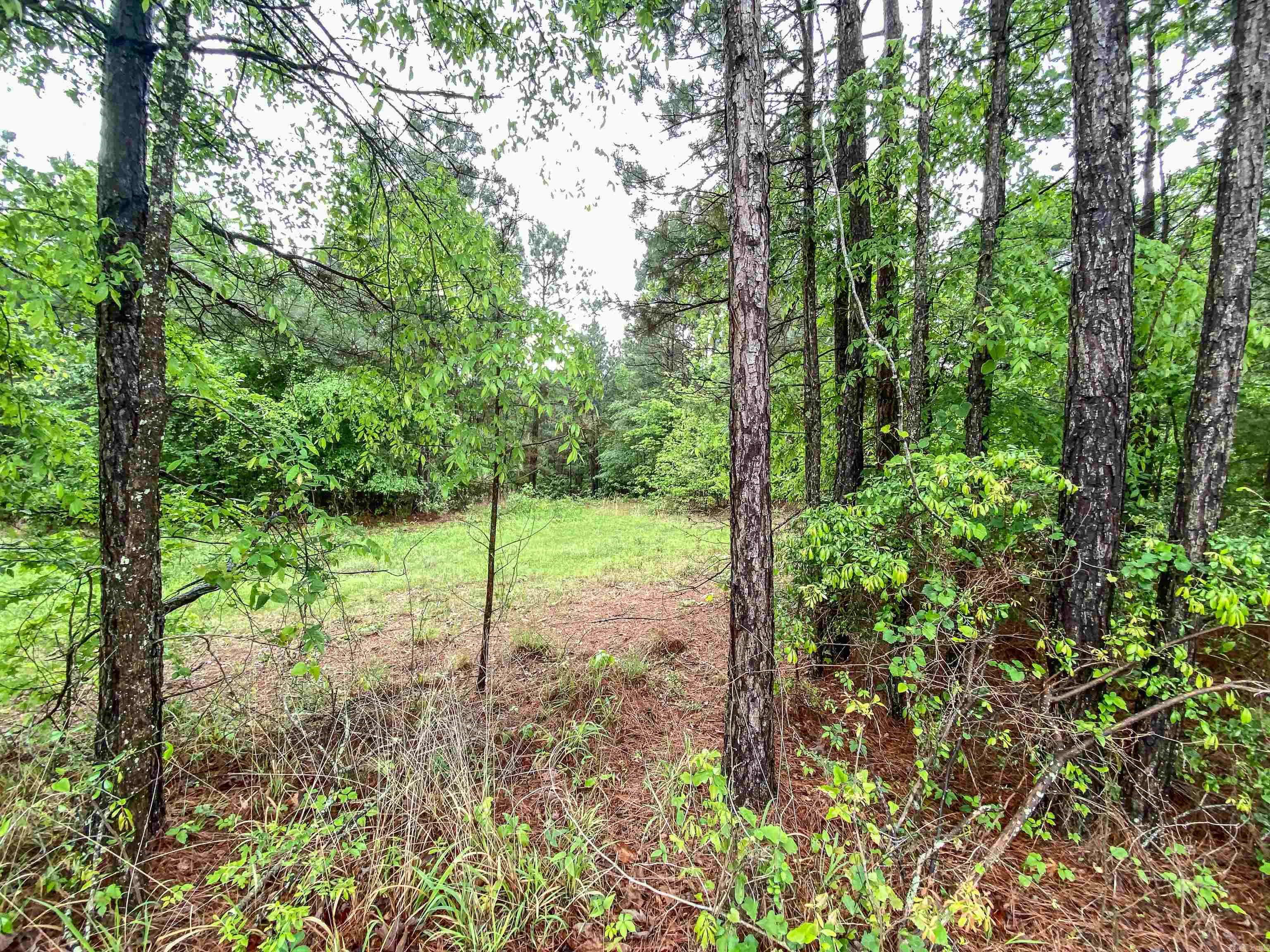 1801 Edgewood Drive Property Photo 12