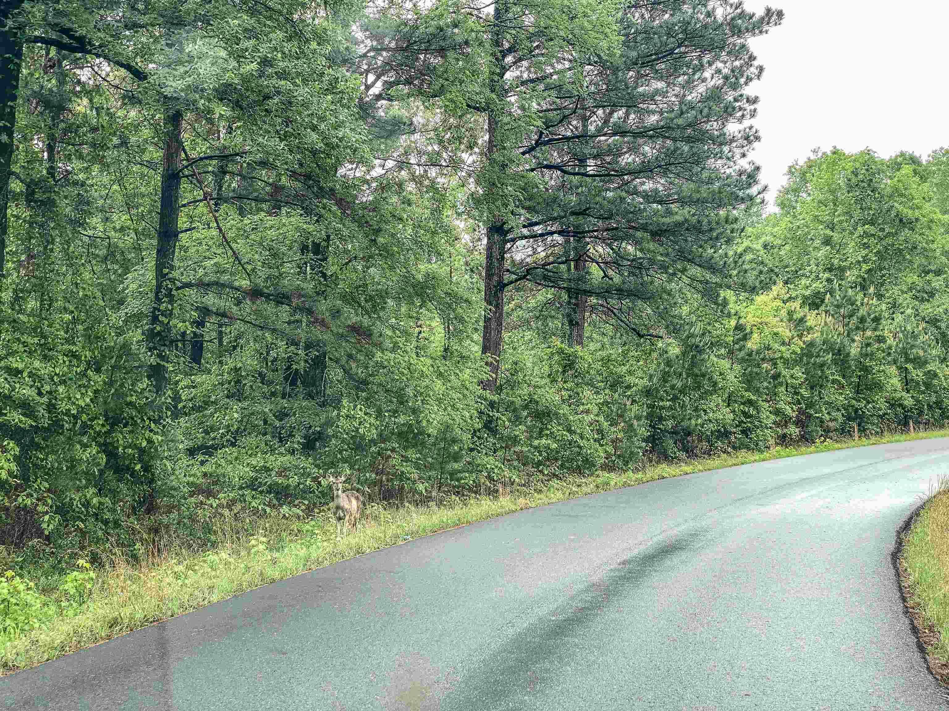 1801 Edgewood Drive Property Photo 15