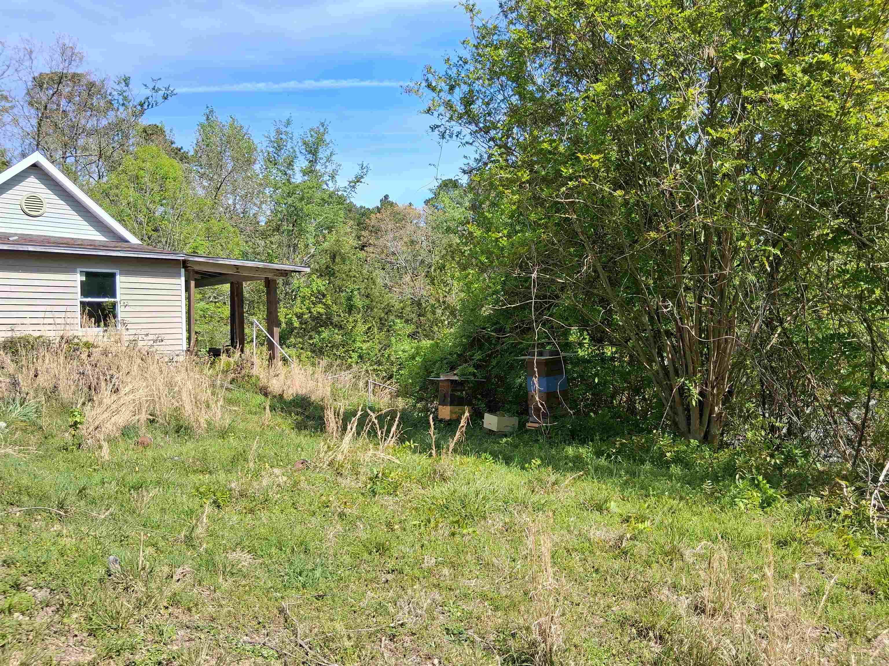 421 Holly Street Property Photo 4