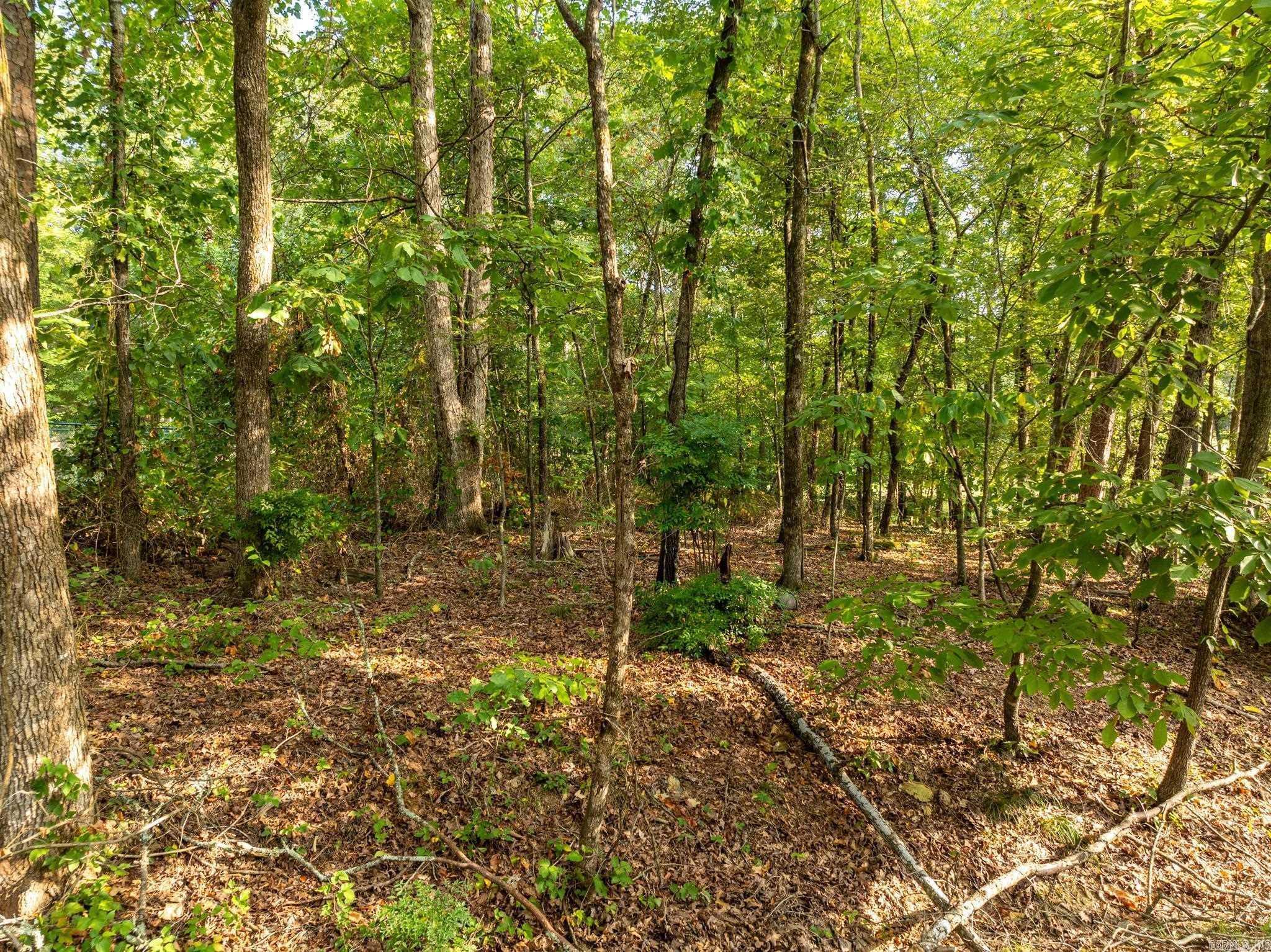 X Castillo Lane Property Photo 15