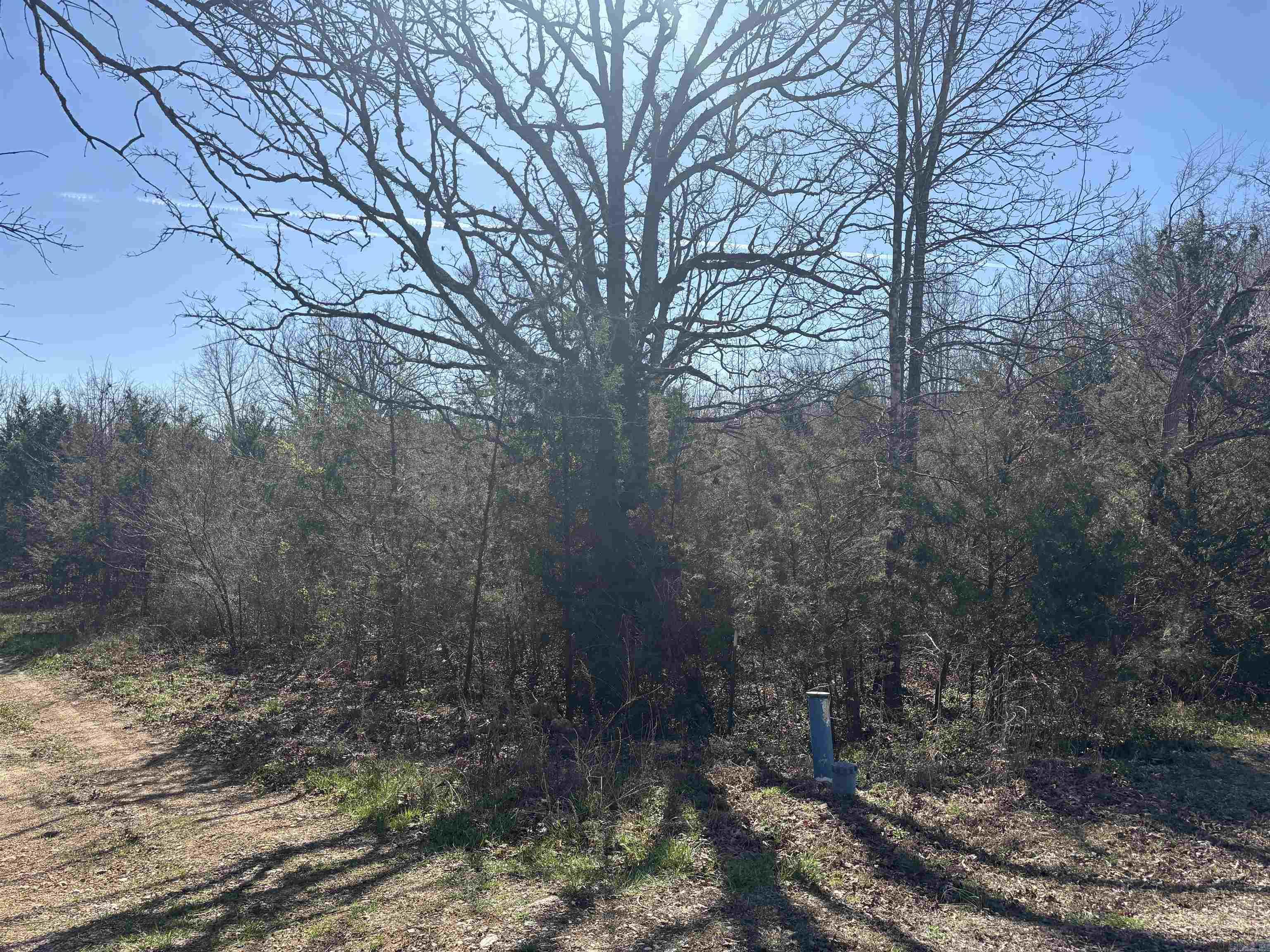 0 Little Creek Circle Property Photo 12