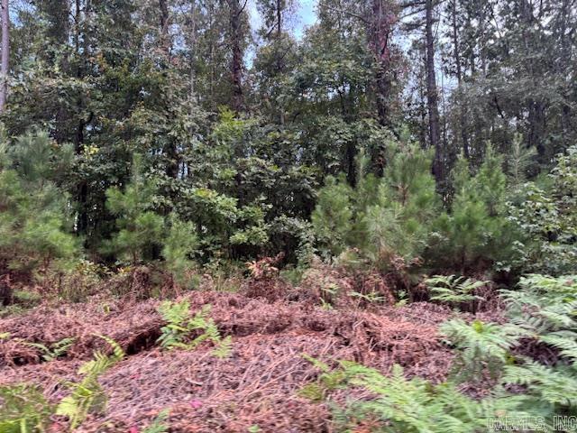 000 Perkins Property Photo 2